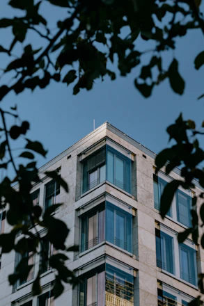 Corner of a modern building framed by leaves