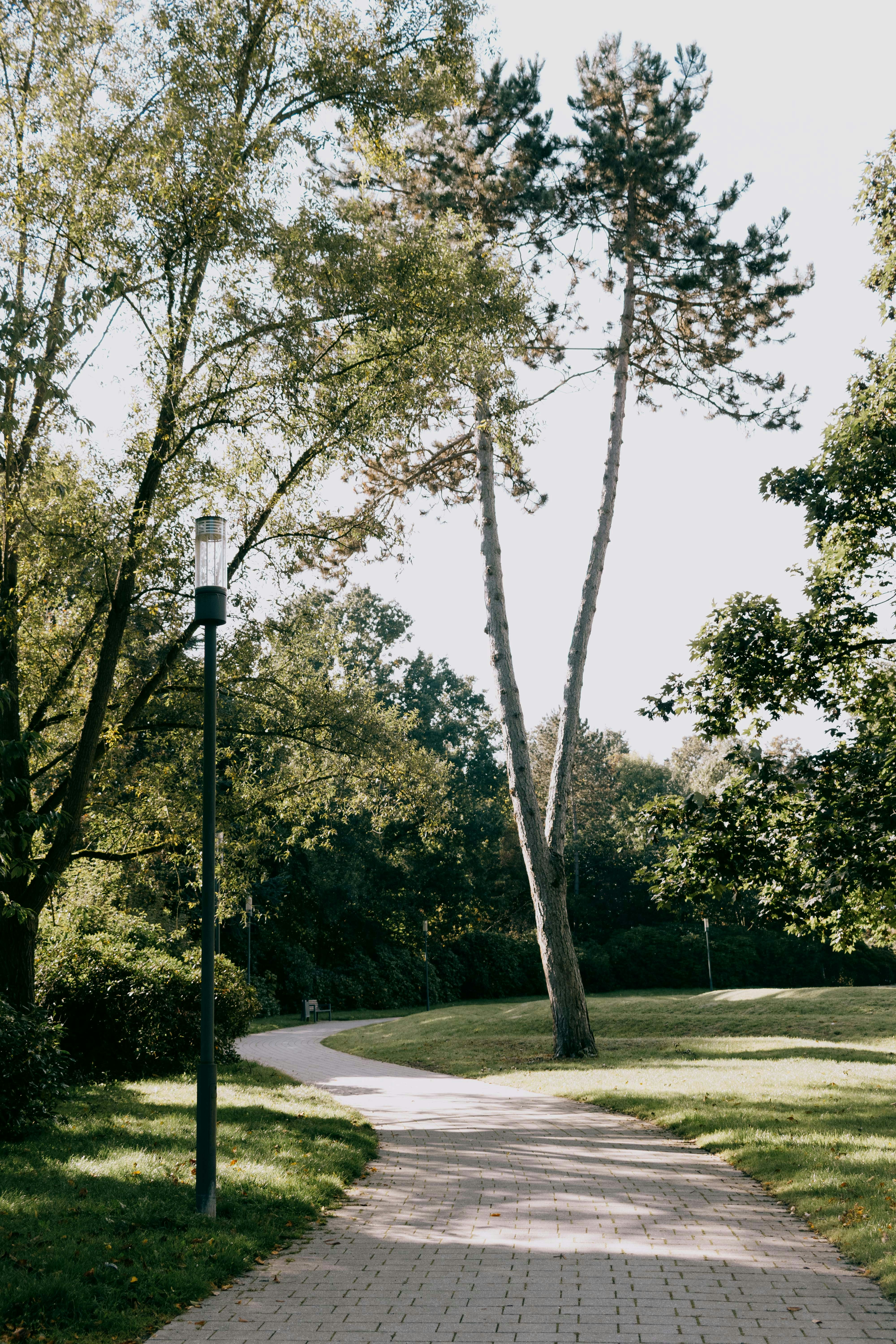 Photo by arlindphotography