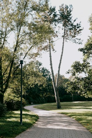 Paved path winding through a sunlit park, similar to the multi-use trail planned from North Decatur Boulevard to Losee Road