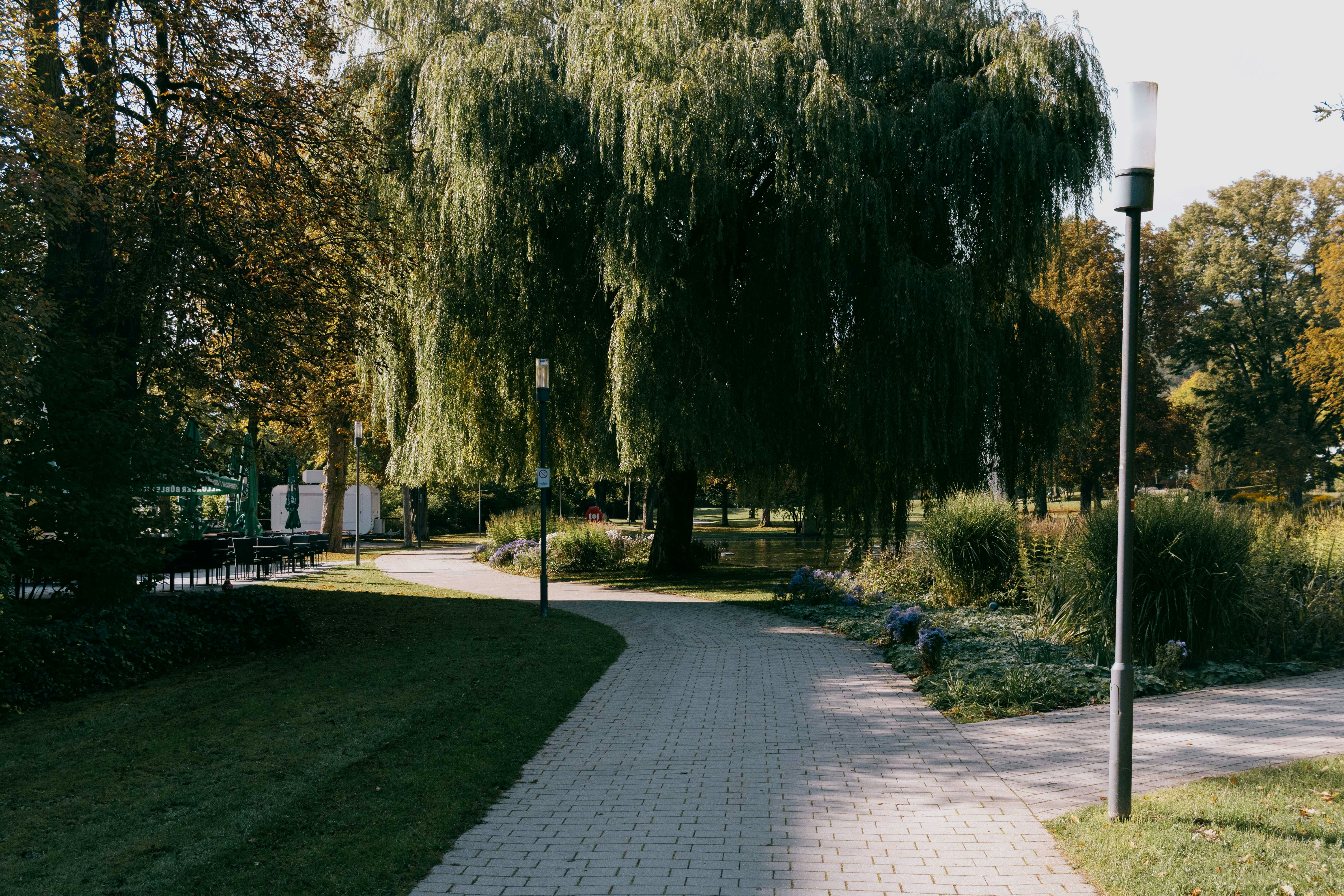 Photo by arlindphotography