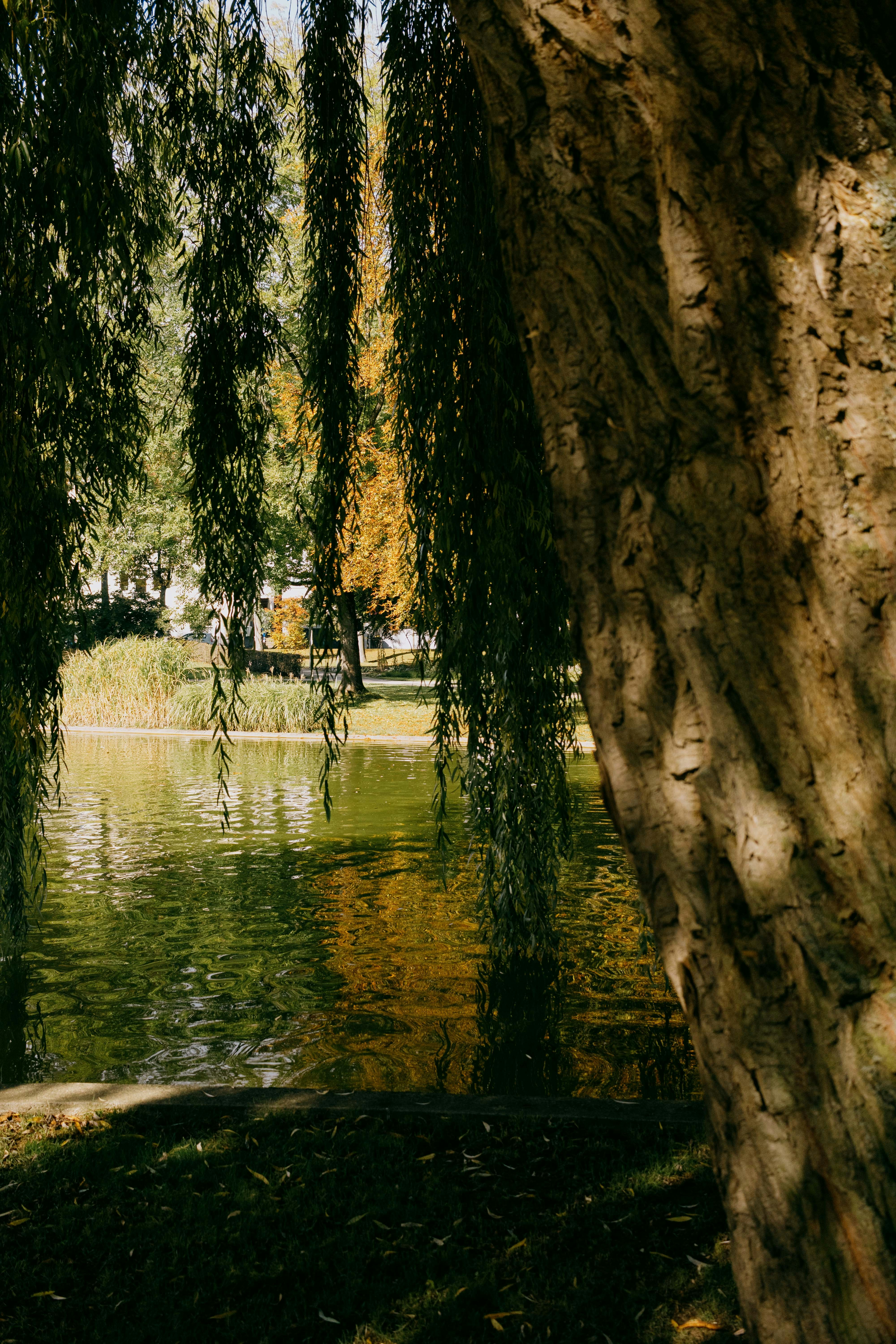 Photo by arlindphotography