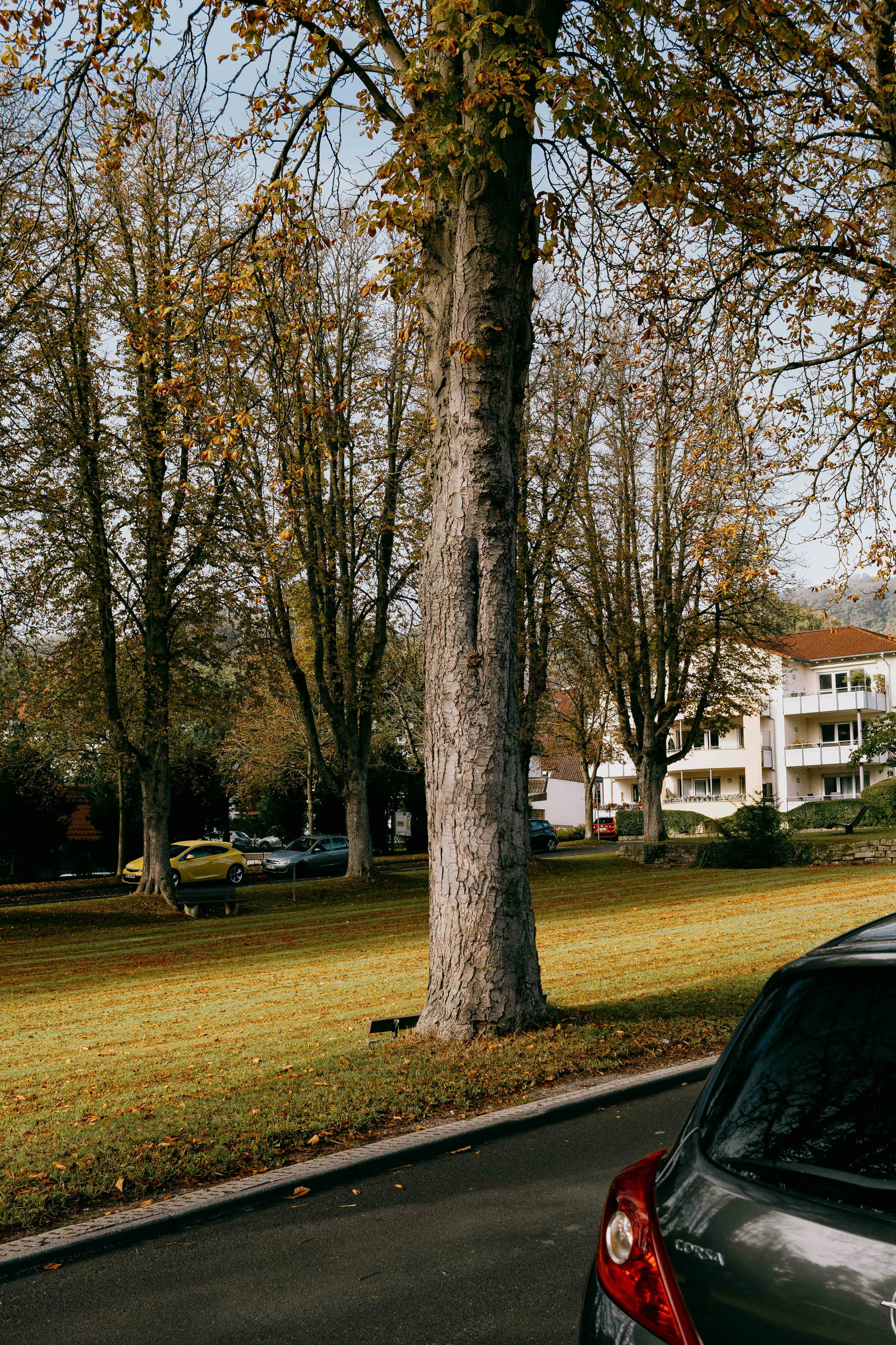 Photo by arlindphotography