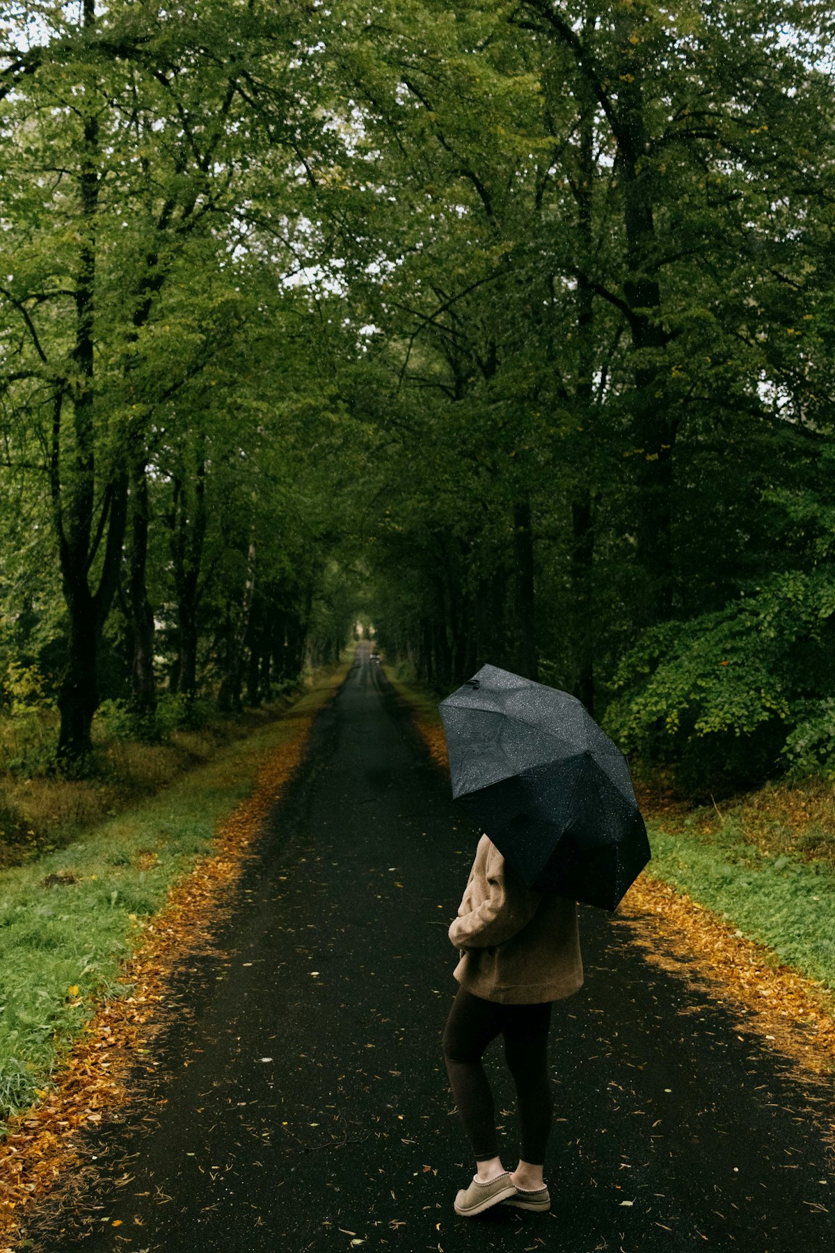 Person mit Regenschirm auf Waldweg – Symbol für durchhalten trotz schwieriger Momente