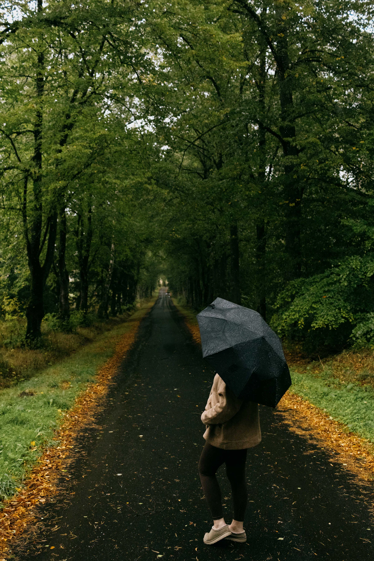Person mit Regenschirm auf einem Waldweg als Symbol für Ortswechsel und Durchhalten