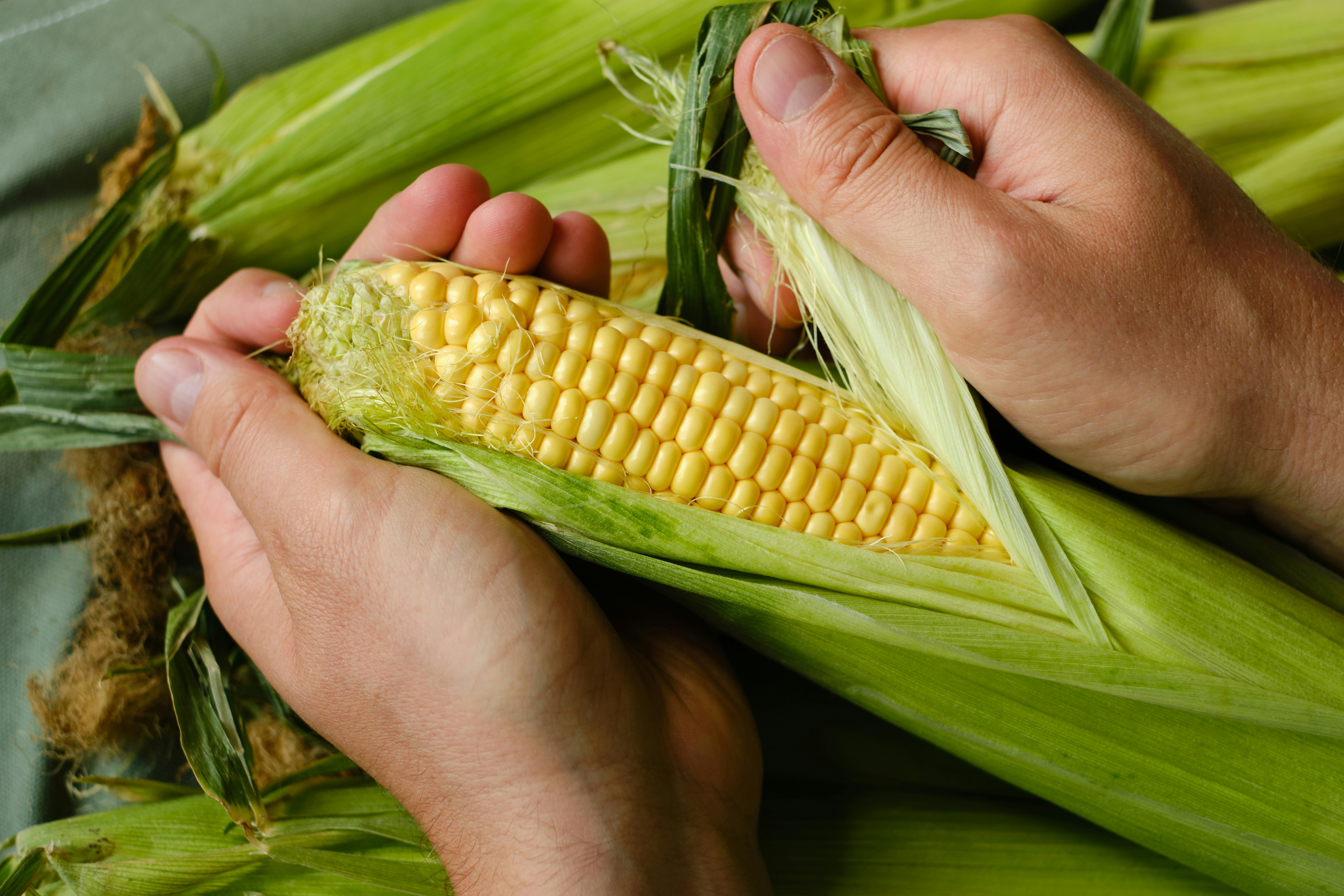 Photo by pilipeichenko