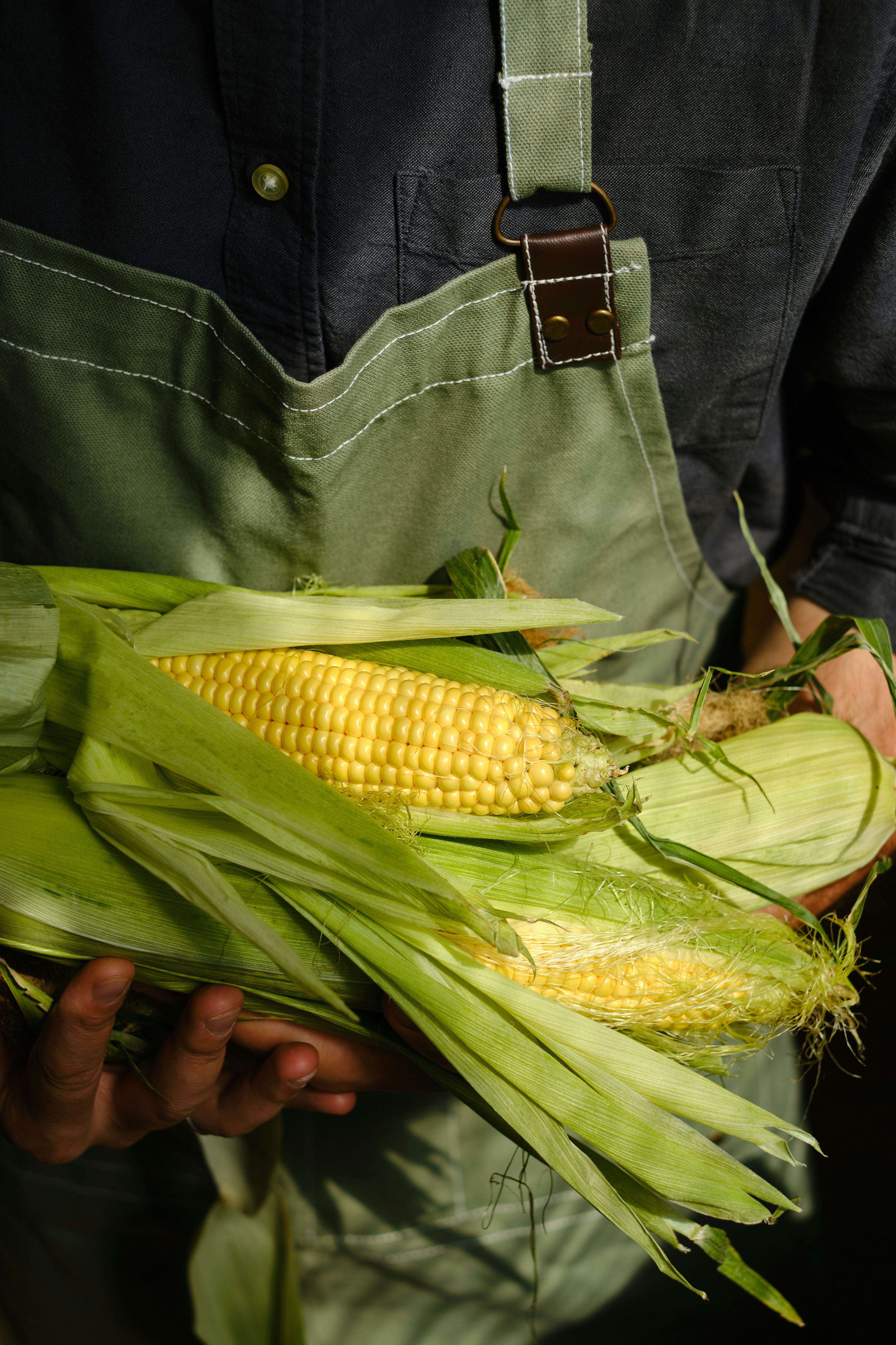 Photo by pilipeichenko