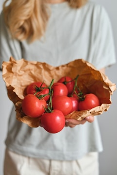 Person holding fresh tomatoes in brown paper