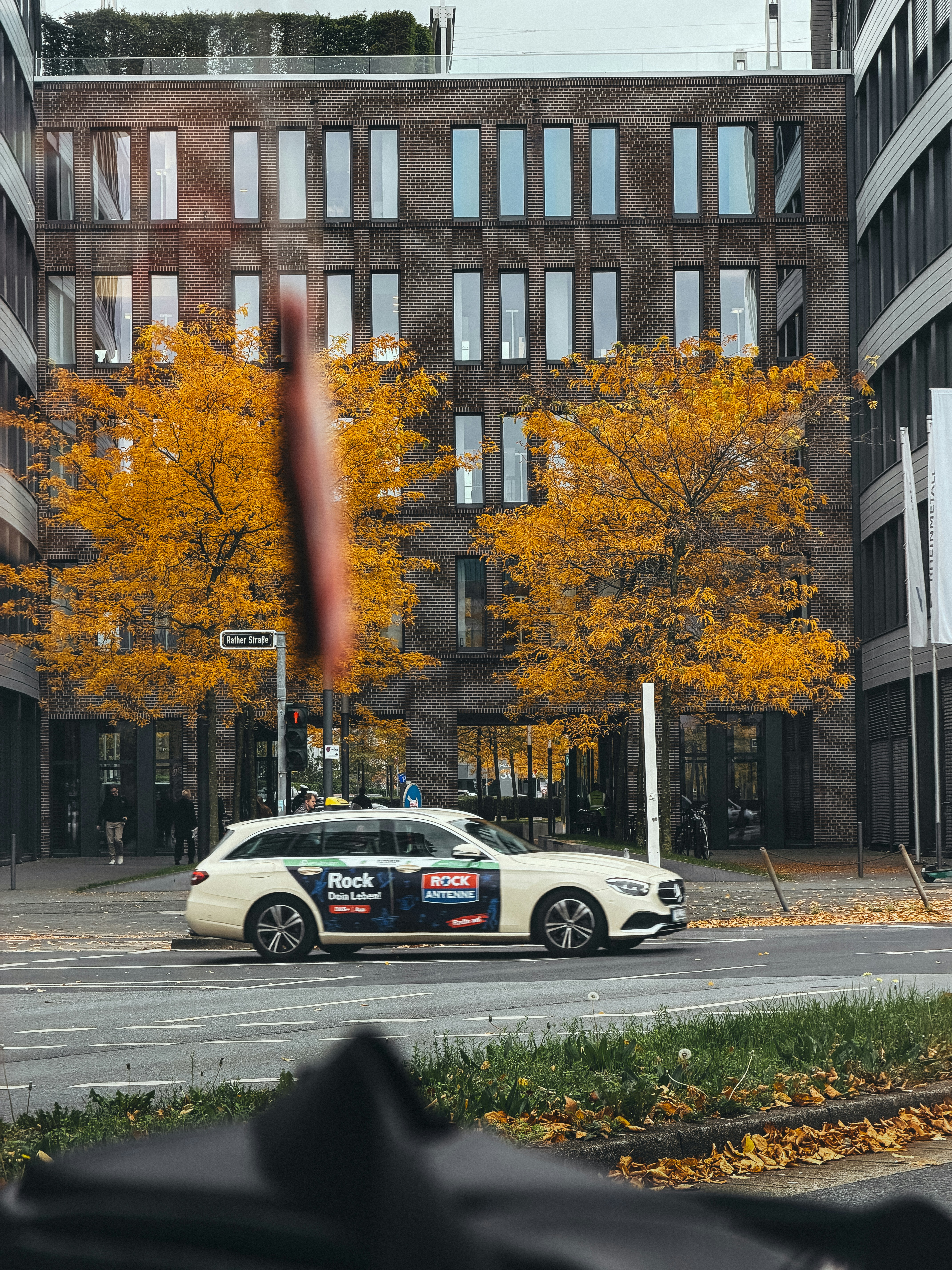 White car parked on street with autumn trees.