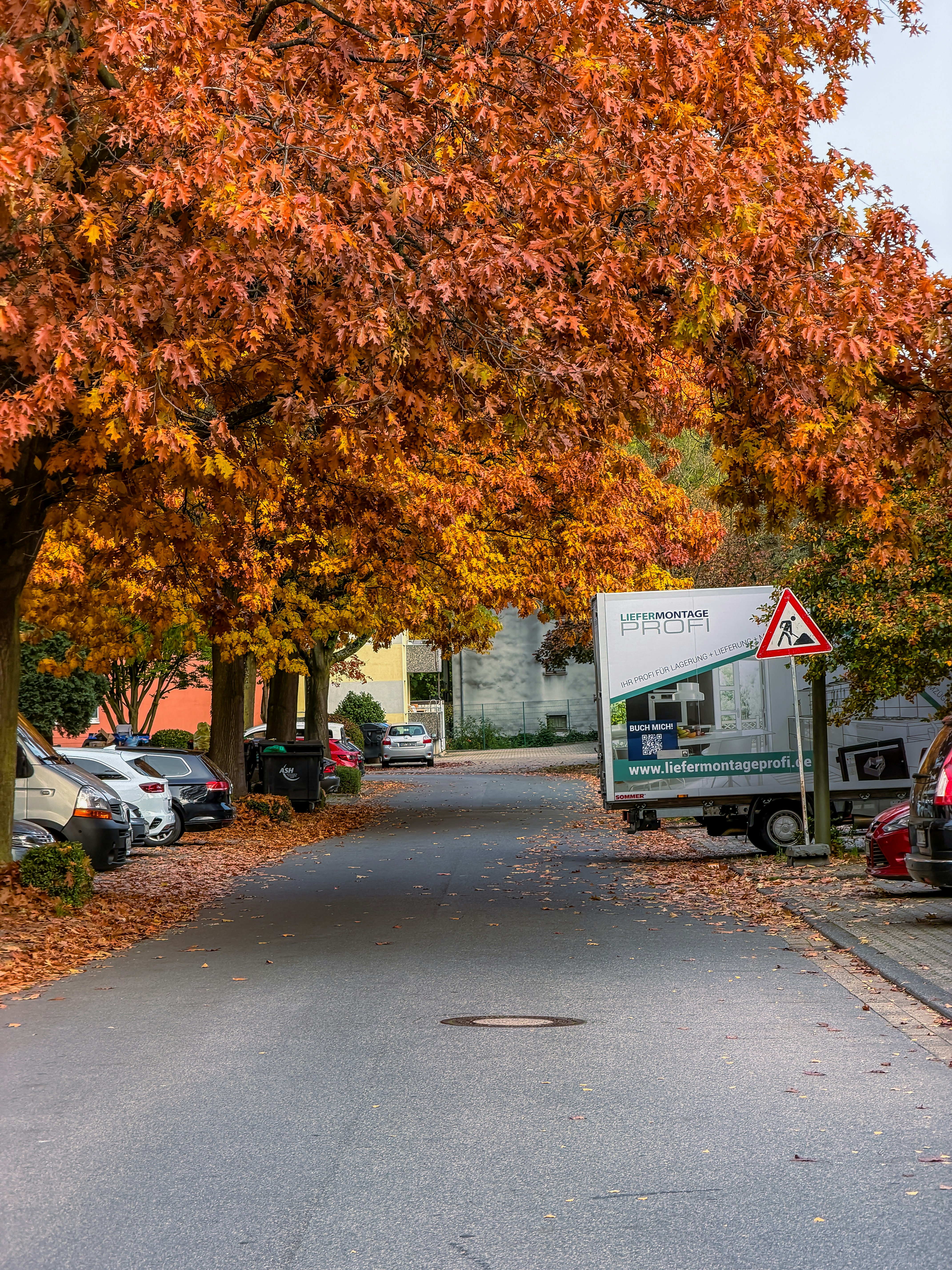Street lined with autumn trees and parked cars