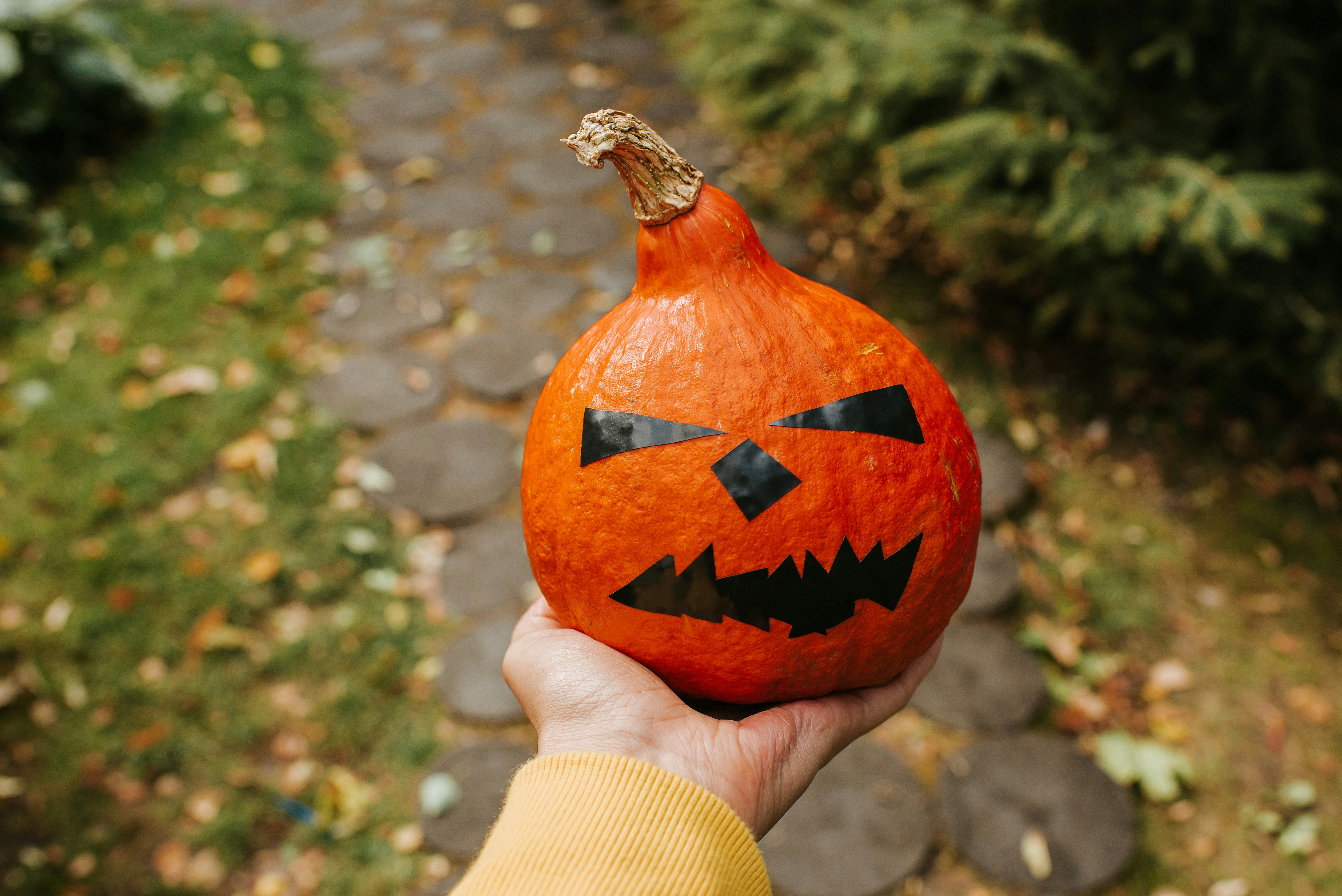 Photo by pilipeichenko