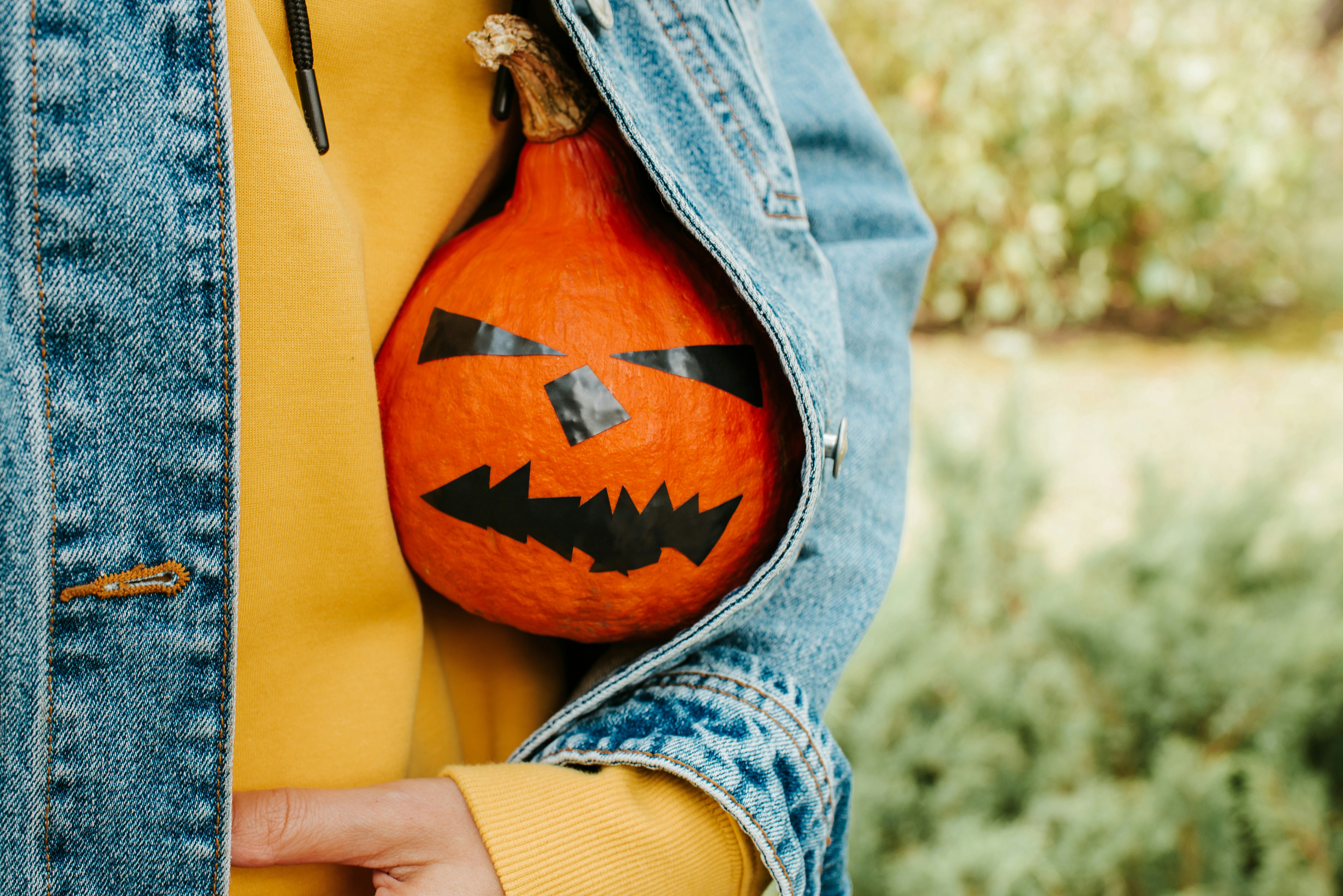 Photo by pilipeichenko