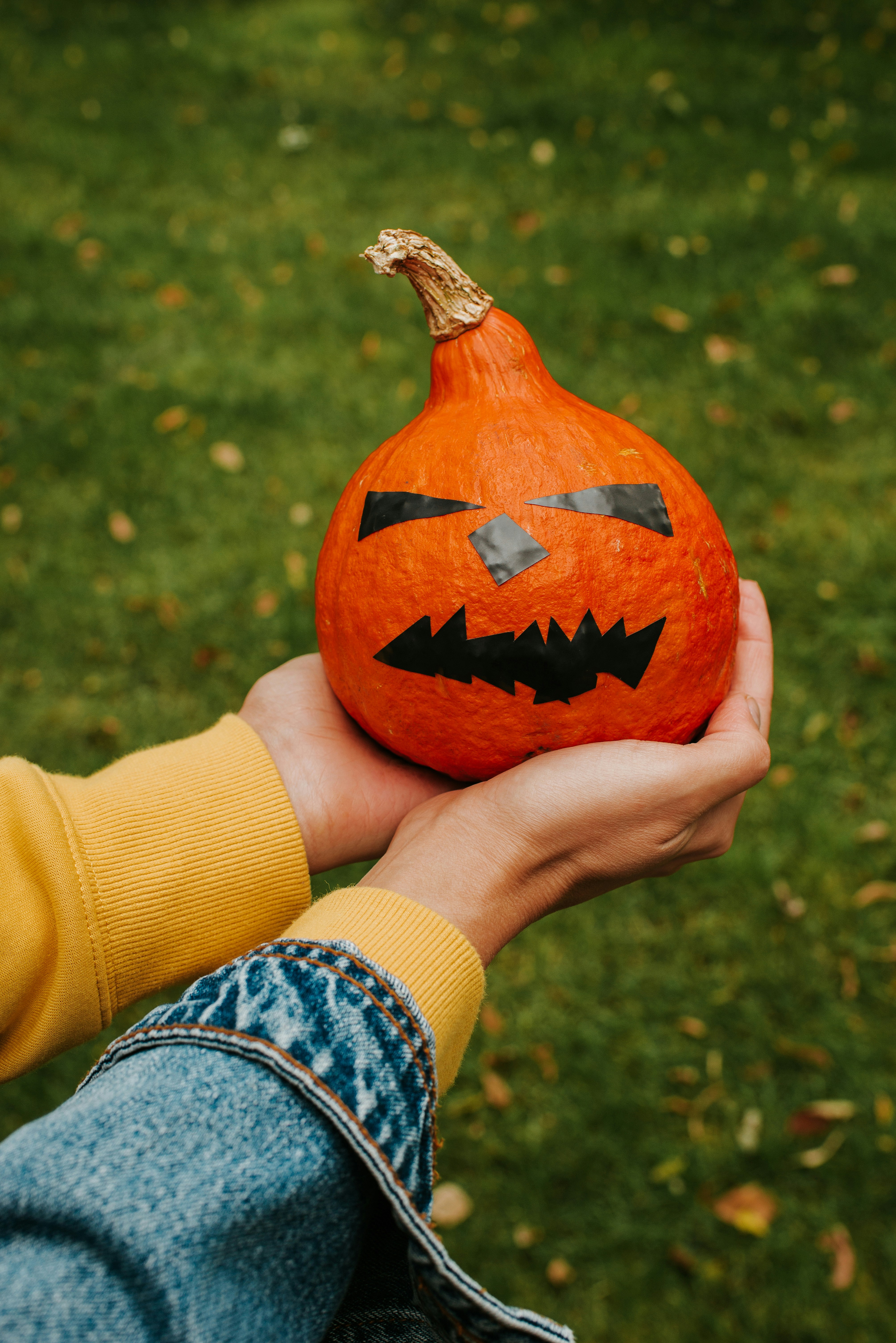 Photo by pilipeichenko