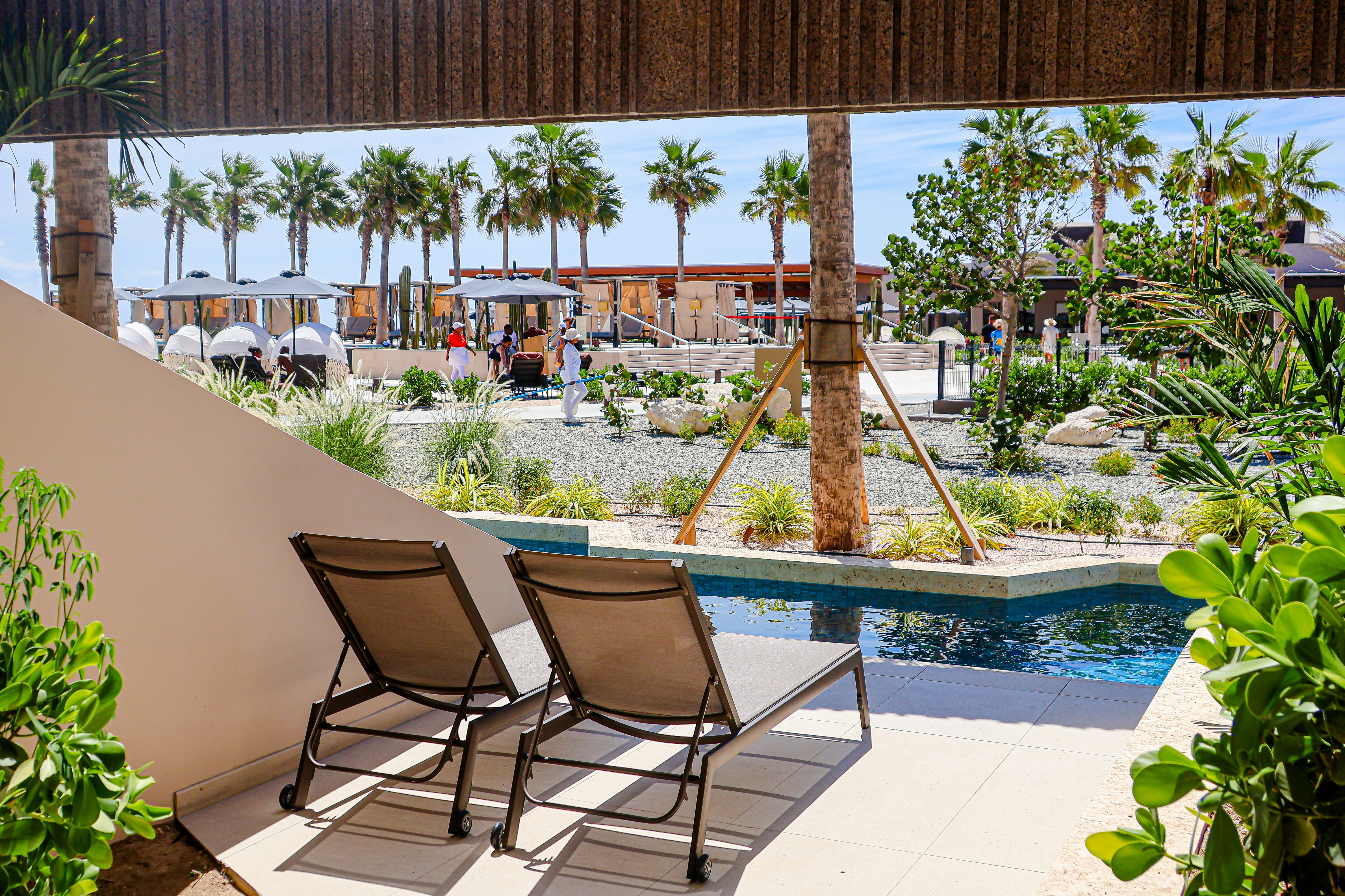 Poolside loungers with palm trees