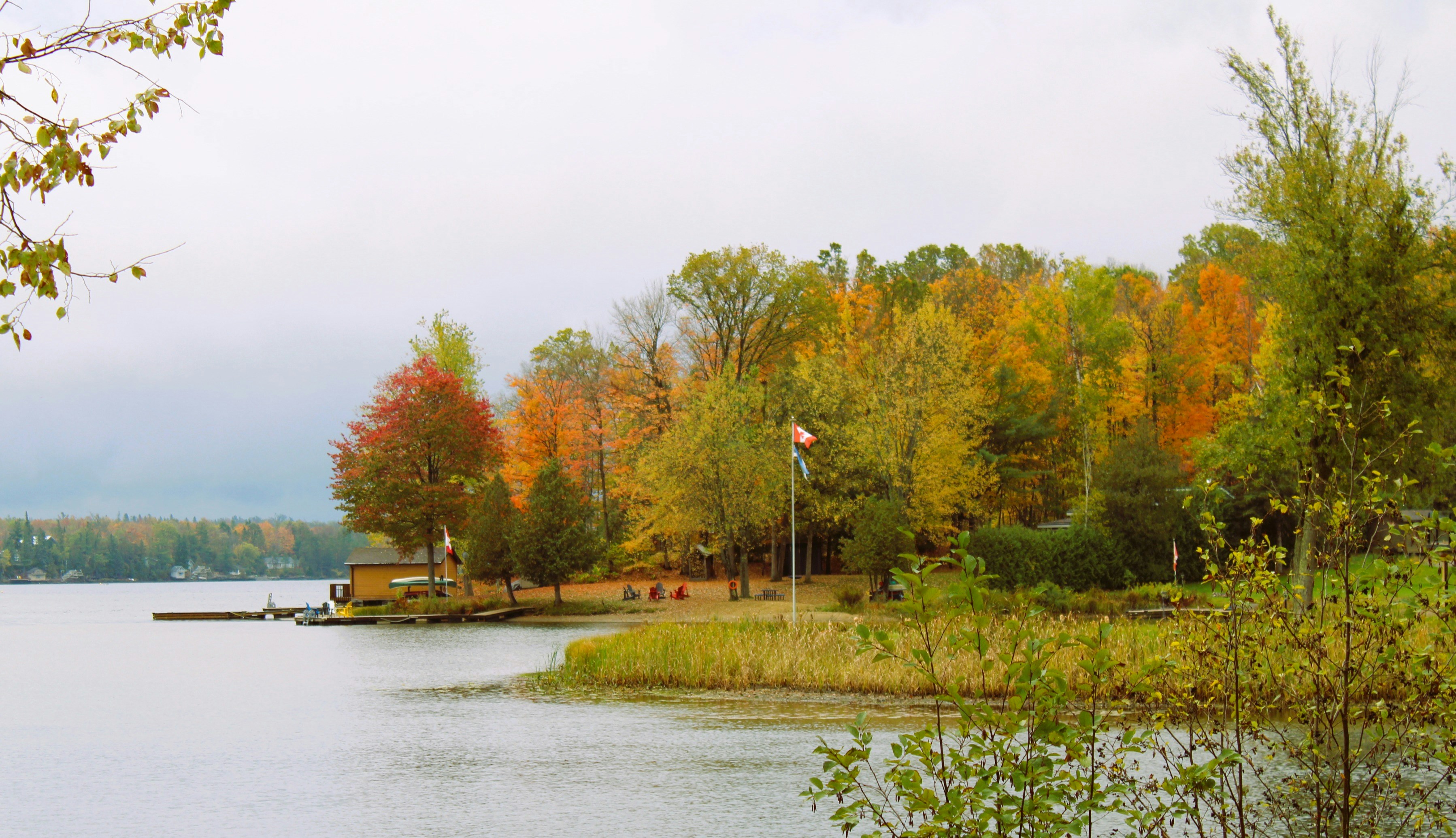 Autumn trees line a calm lake shore