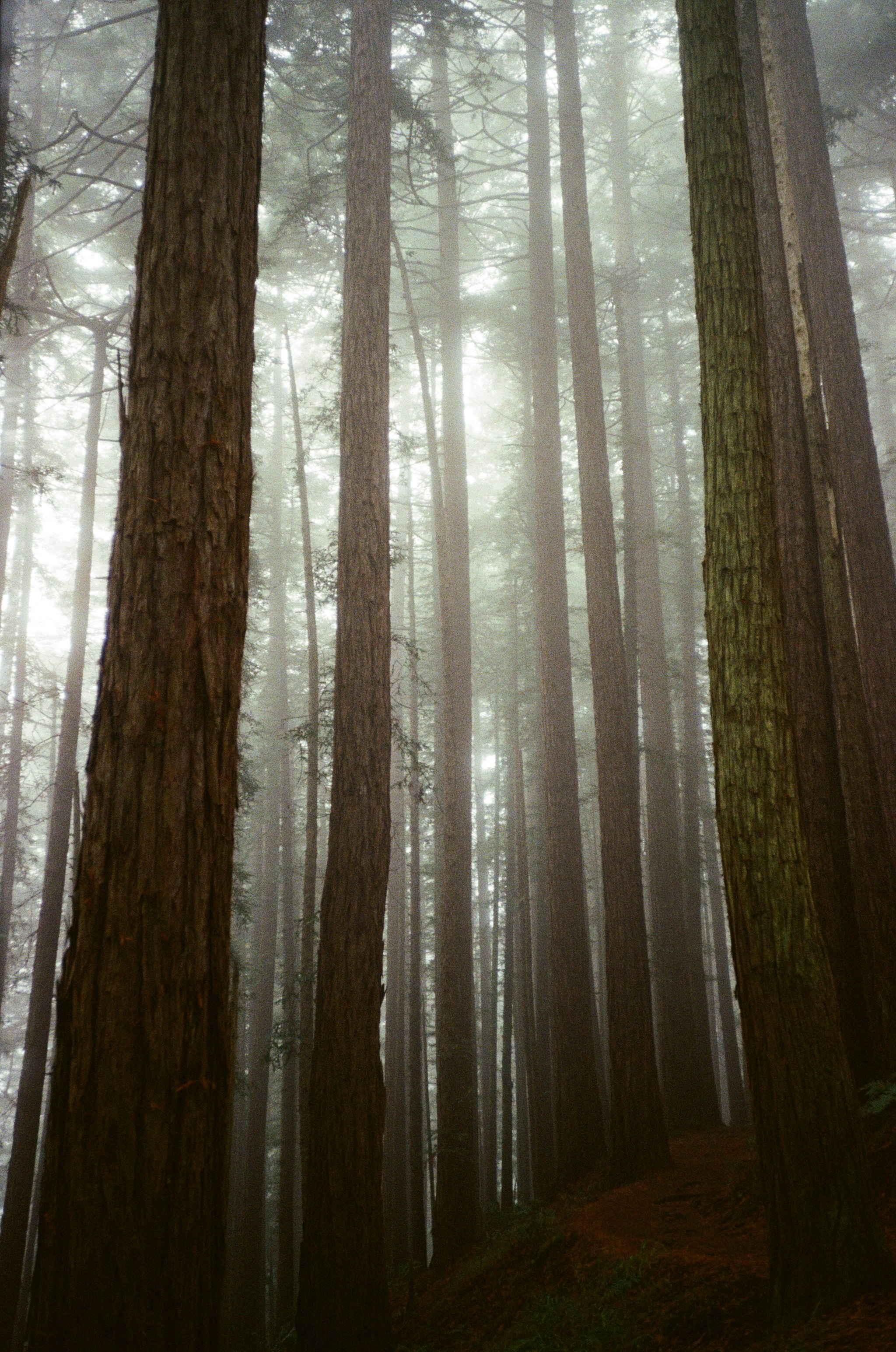 Photo by christopherstites