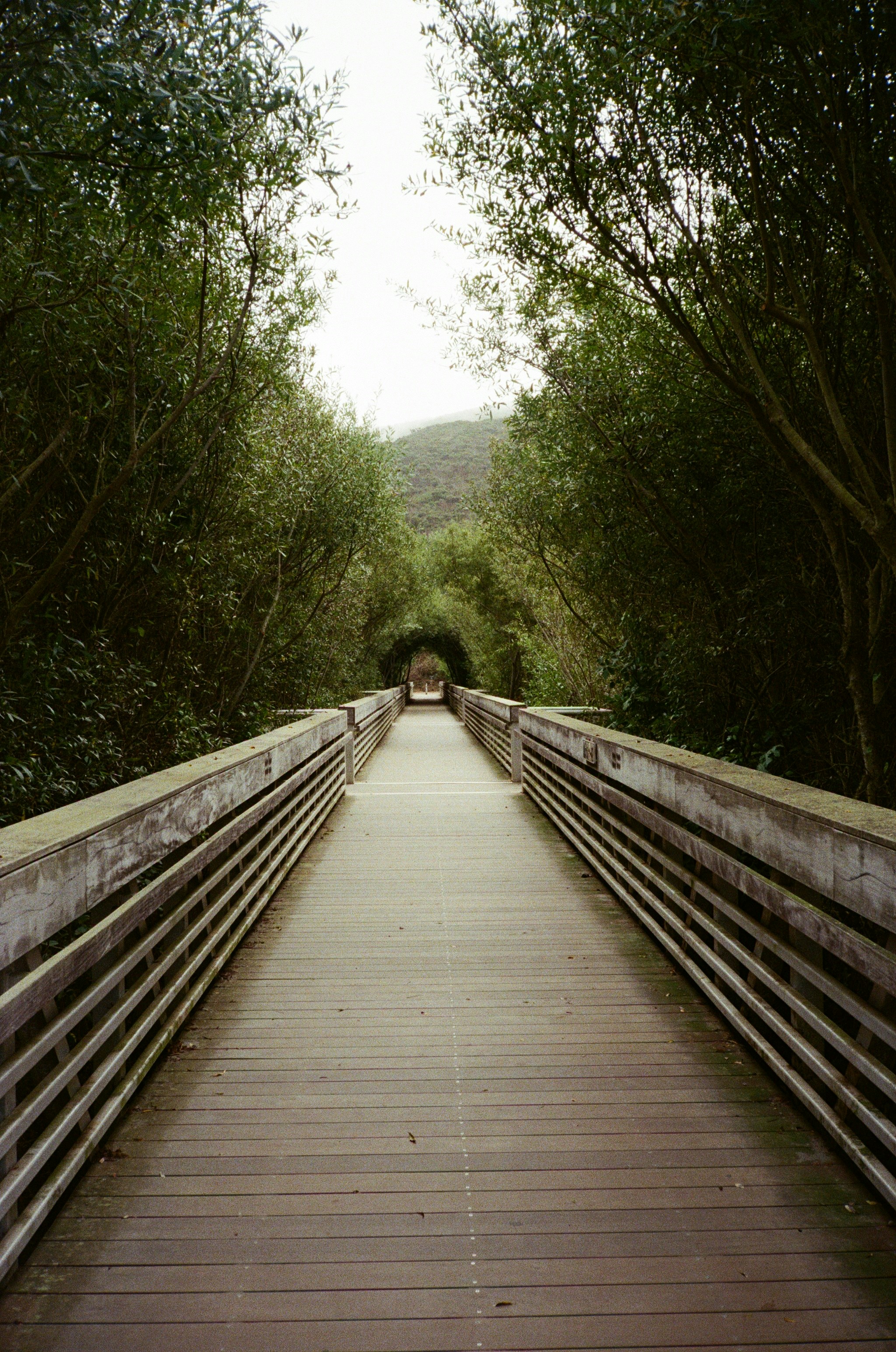 Photo by christopherstites