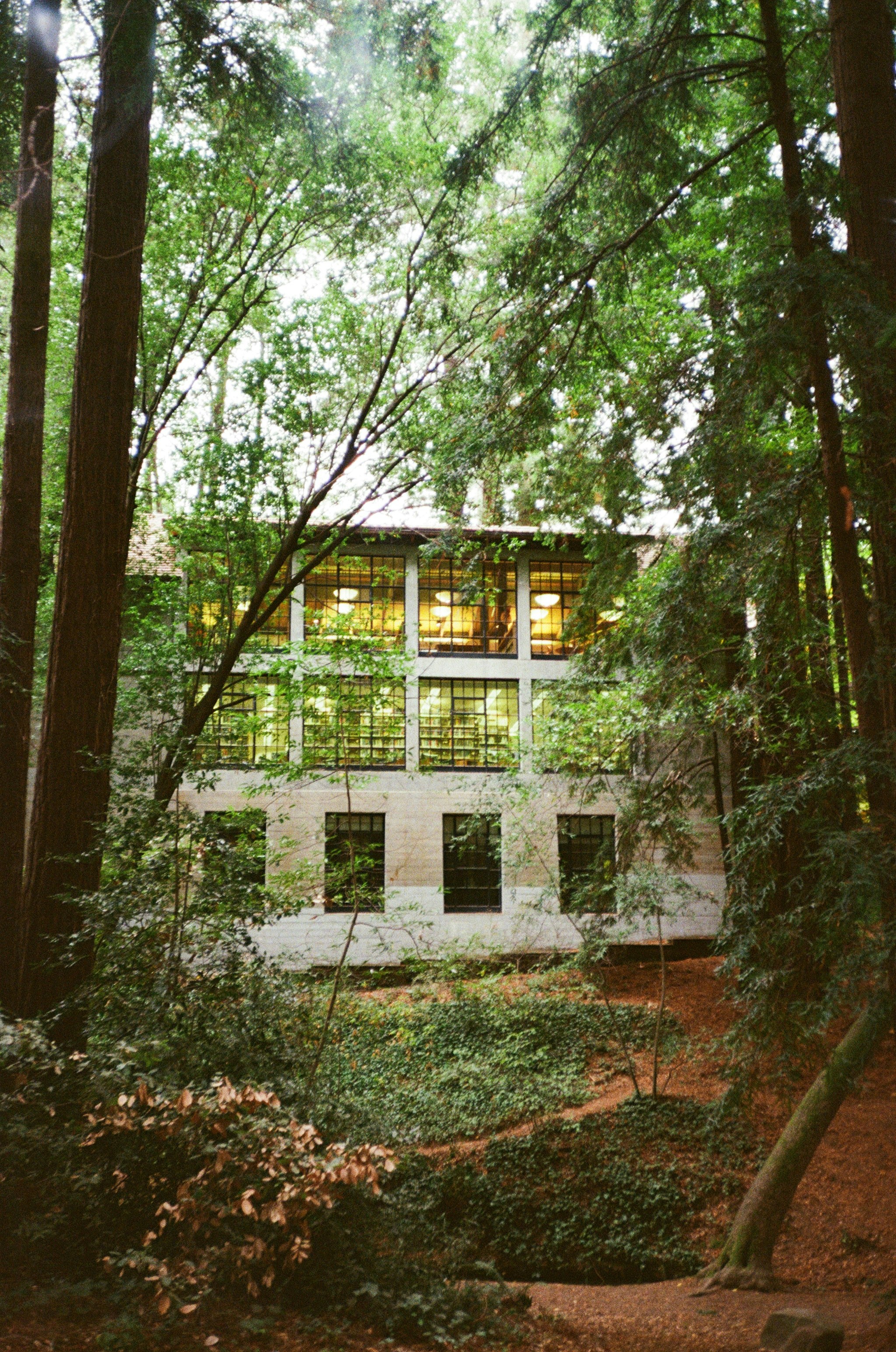 Photo by christopherstites