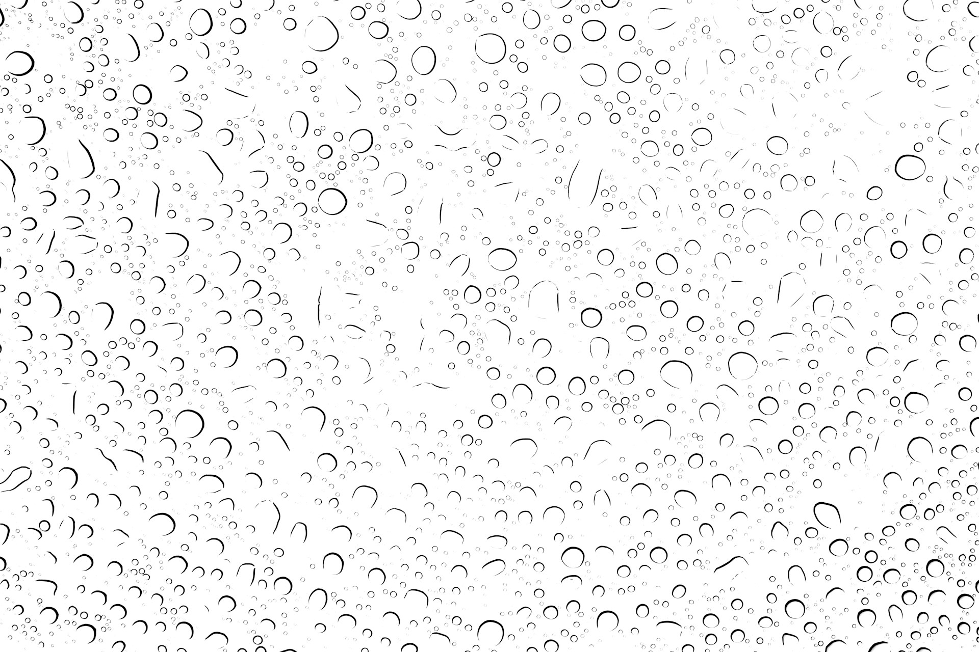 Water droplets on a white background