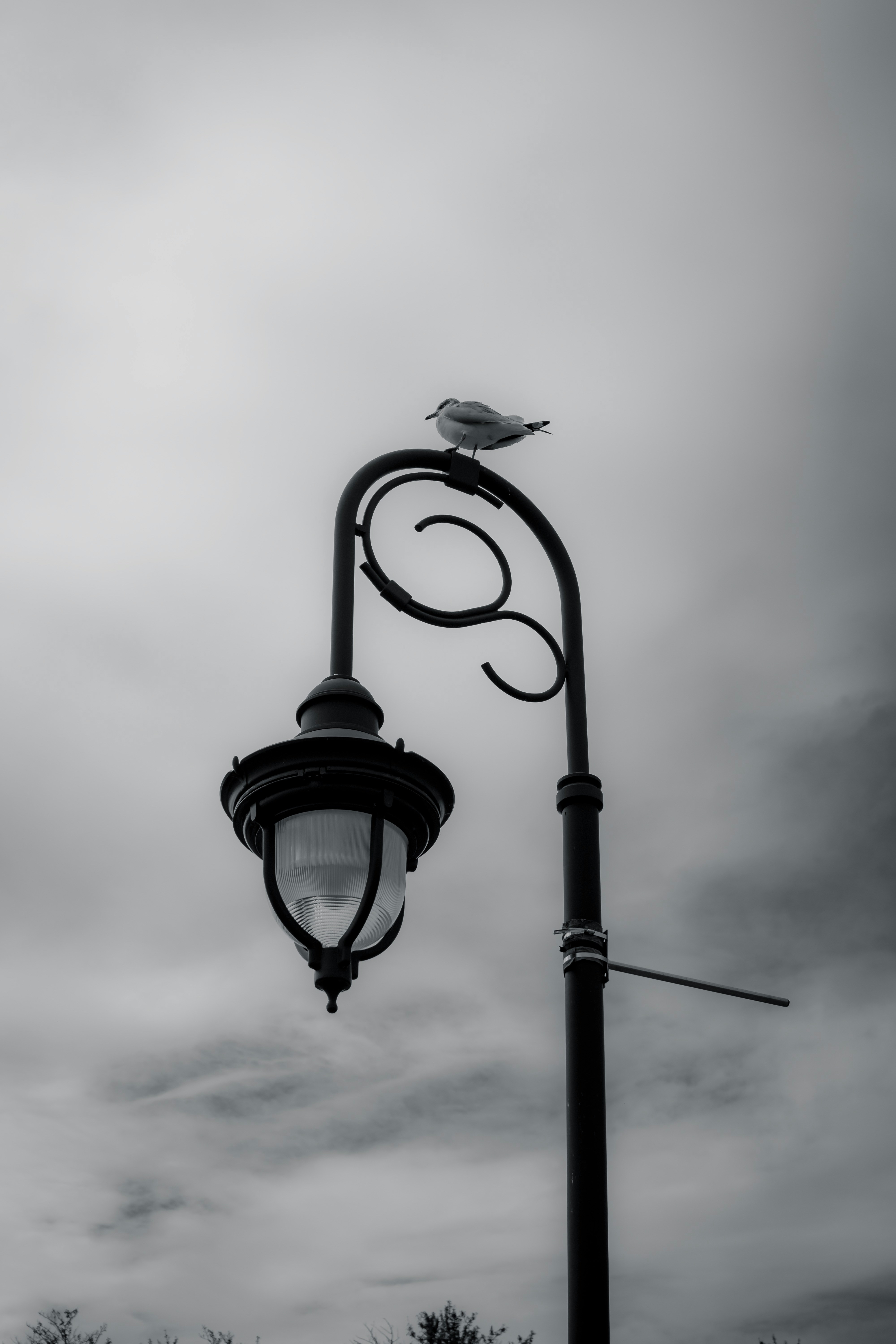 Photo by photographybymat_26