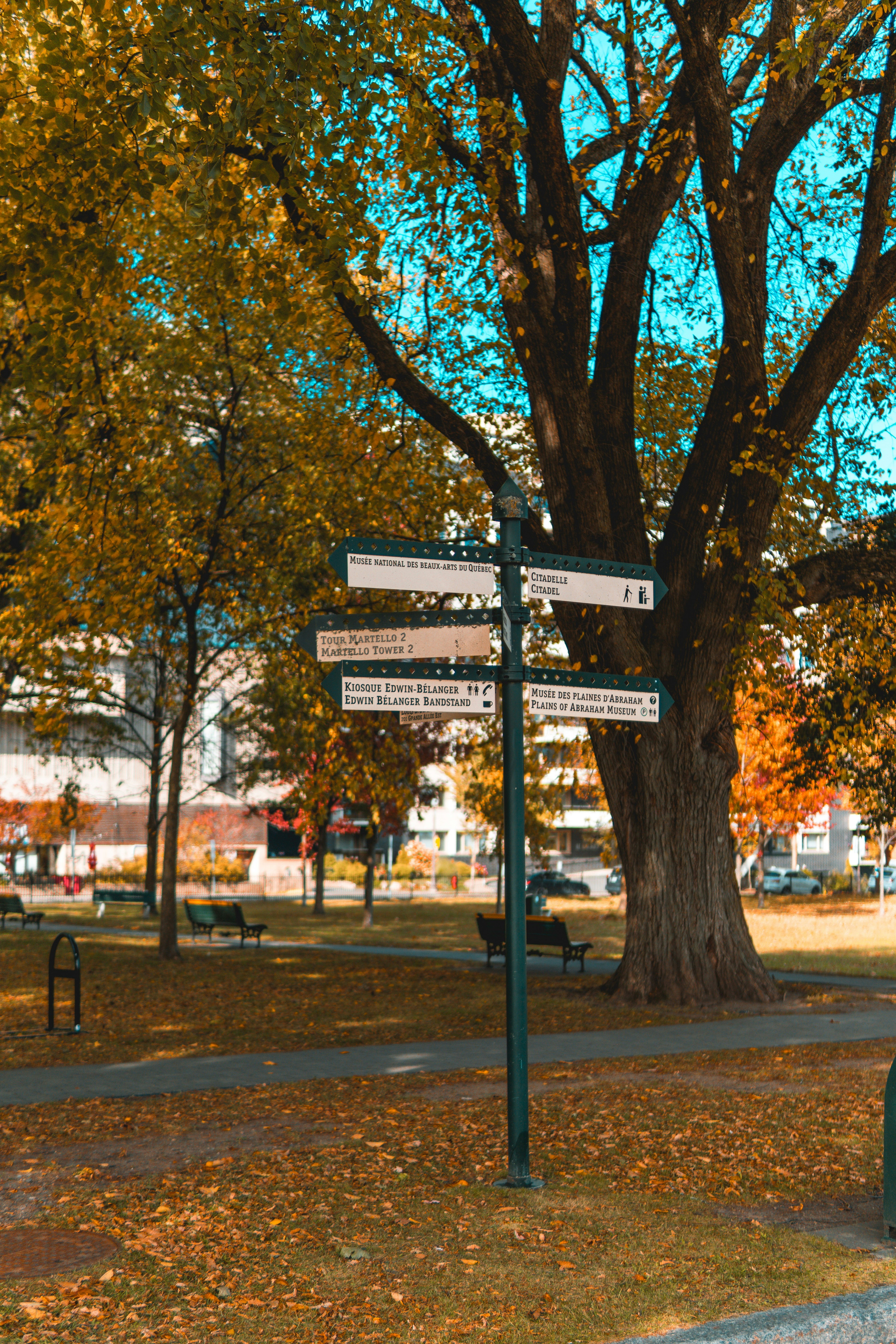 A directional signpost in a park during autumn.