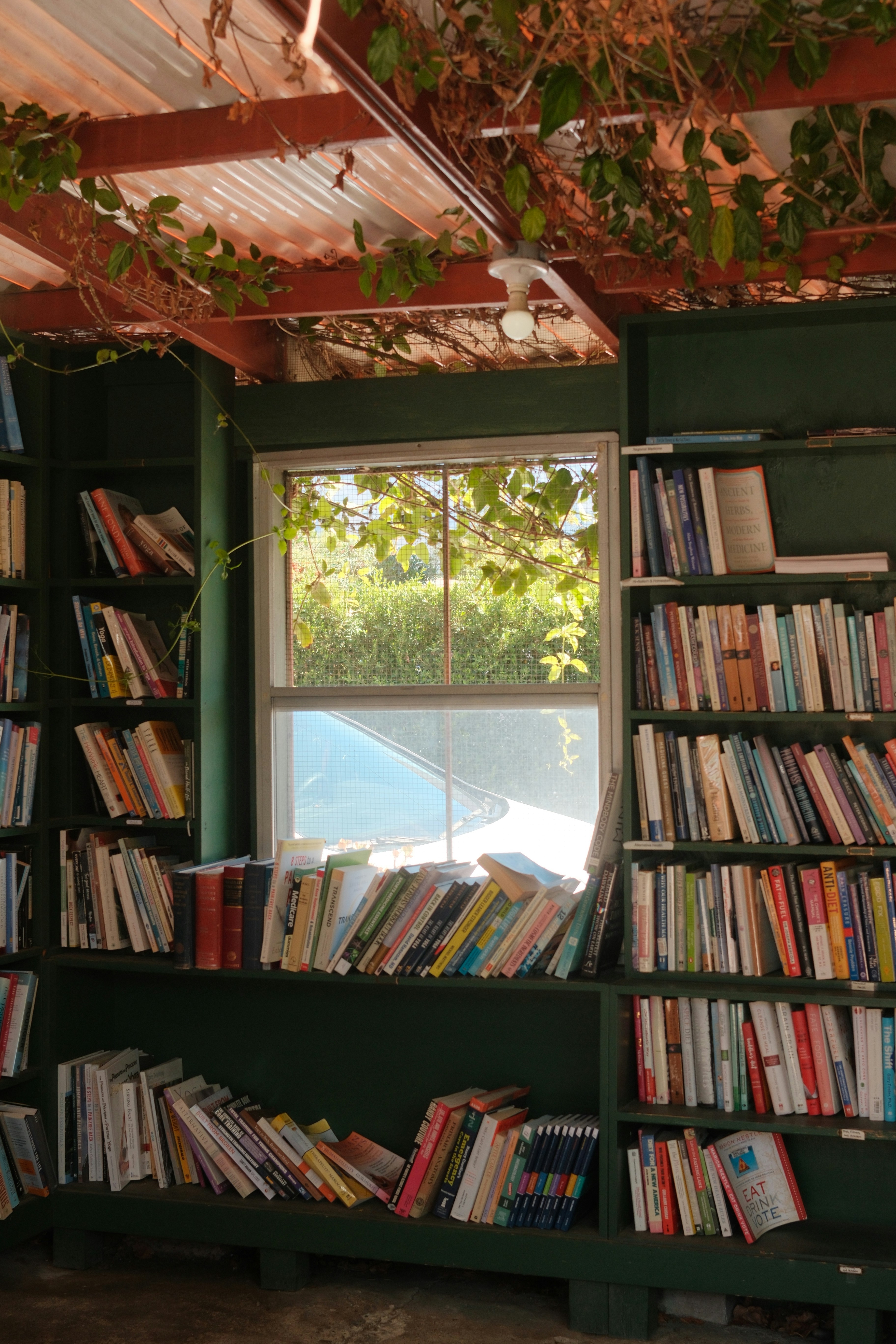 Bookshelves filled with books next to a window.