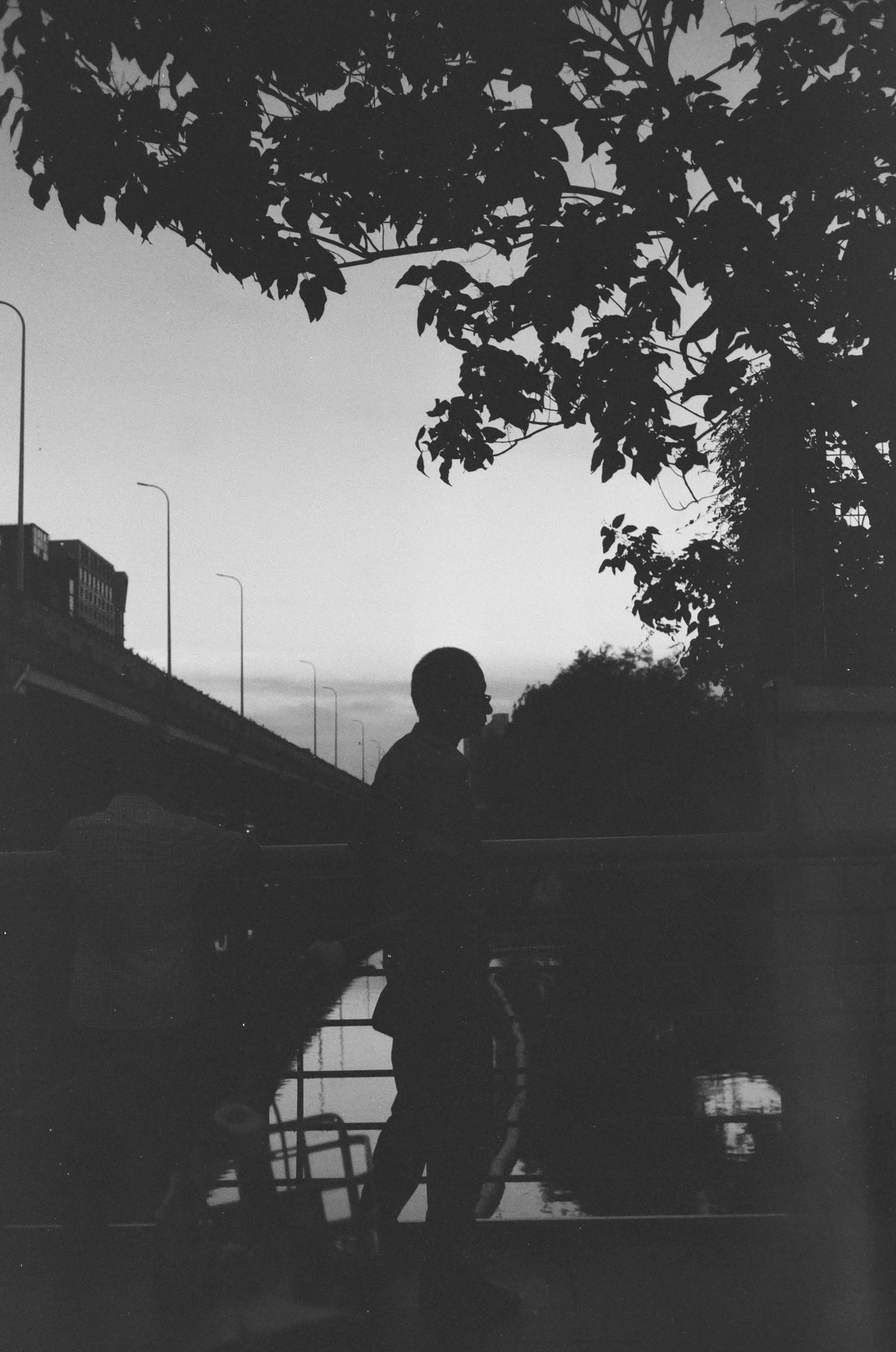 Photo by geraltyichen