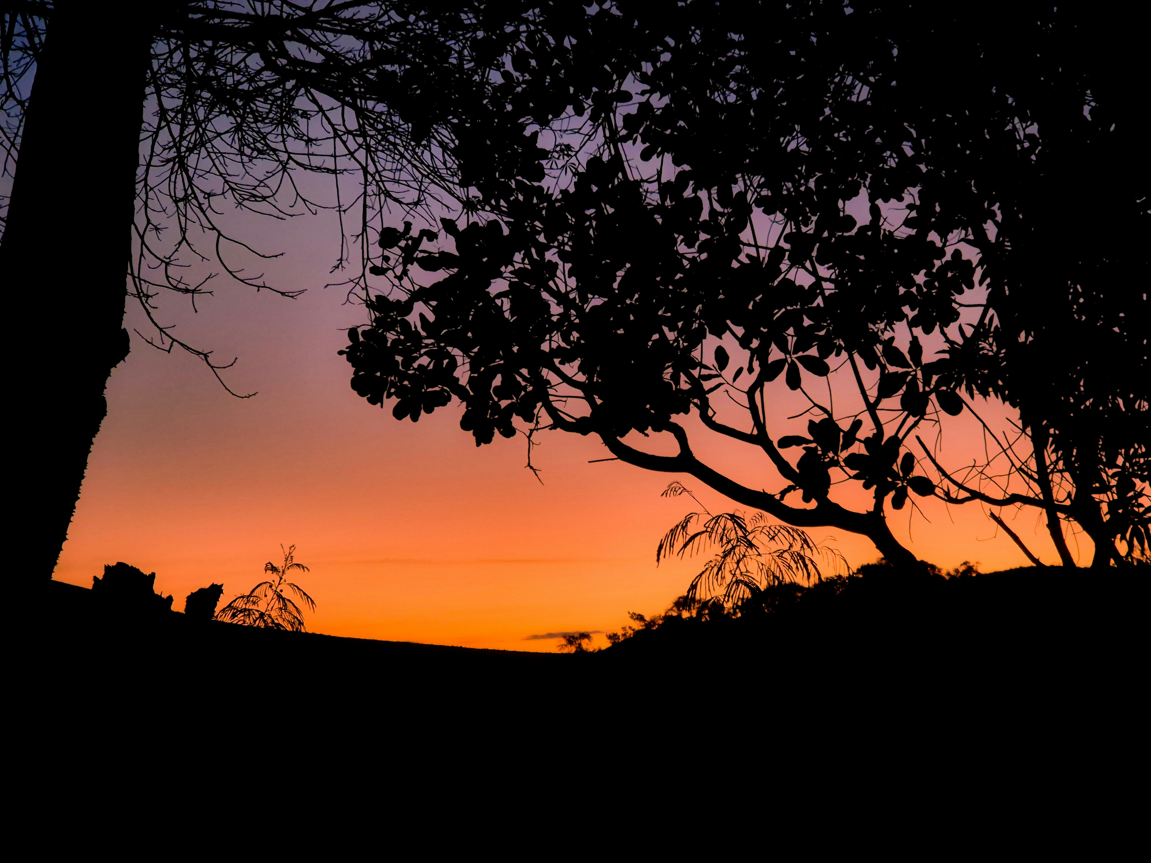 Photo by flphotographyv