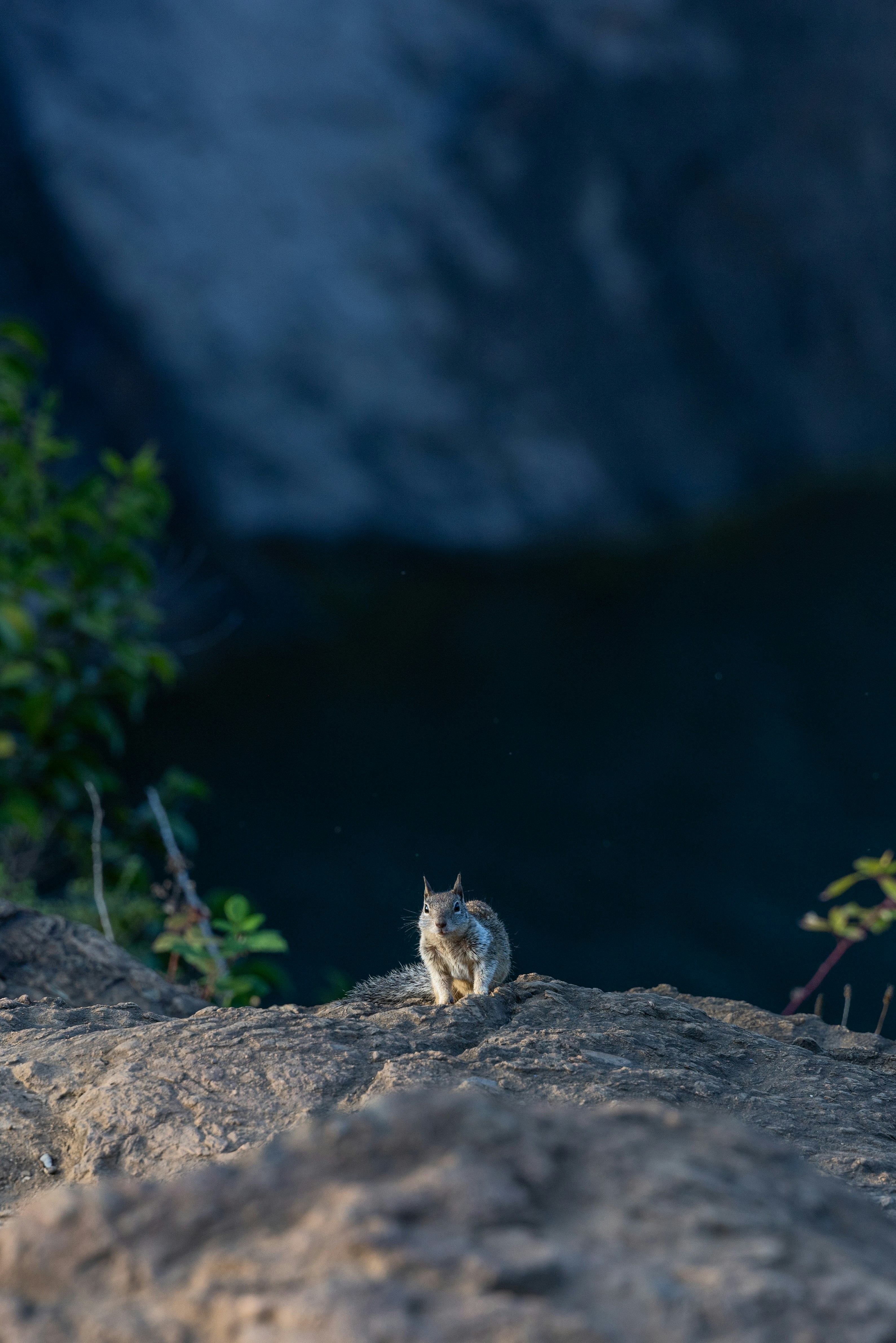 Photo by casunshine0508