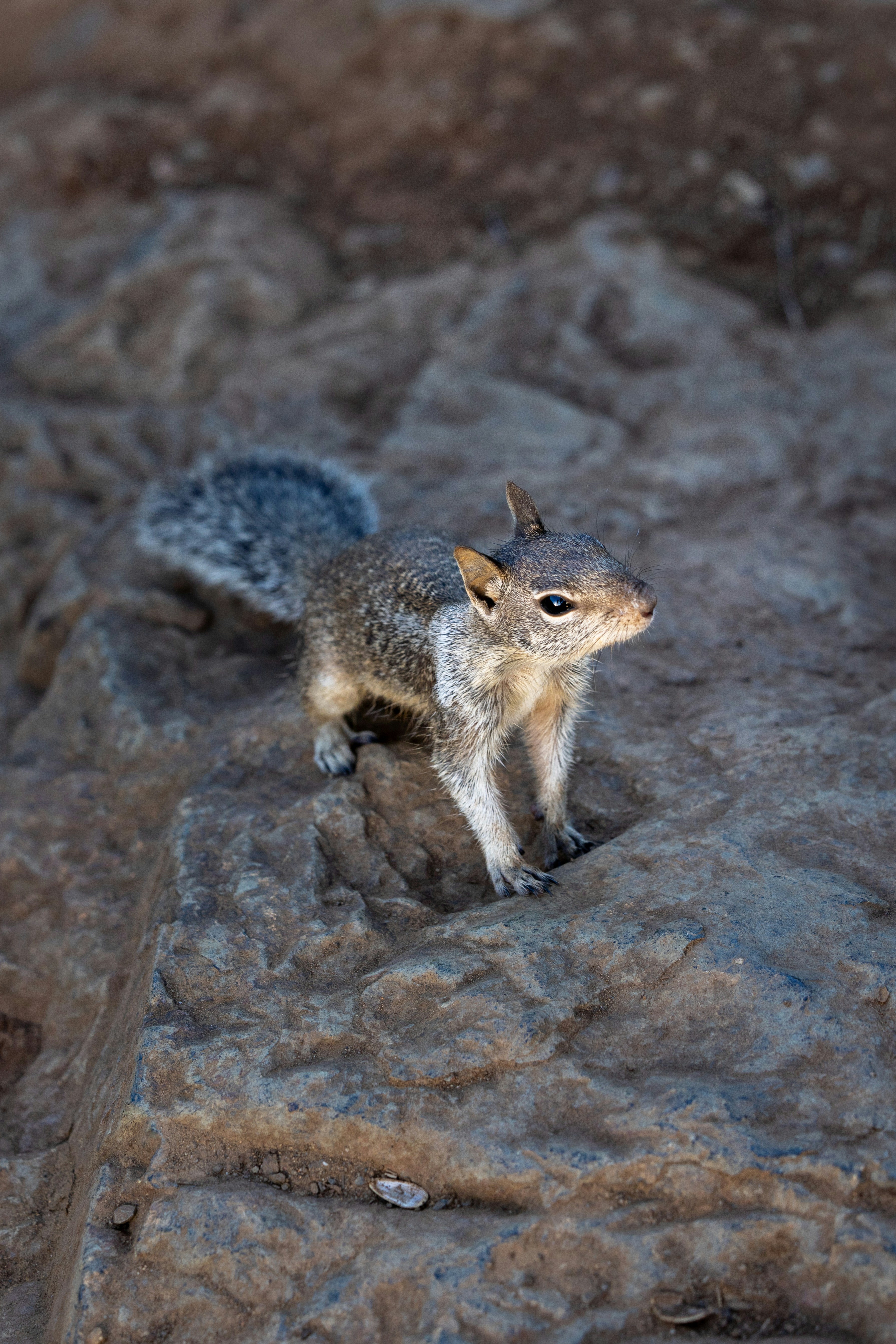 Photo by casunshine0508