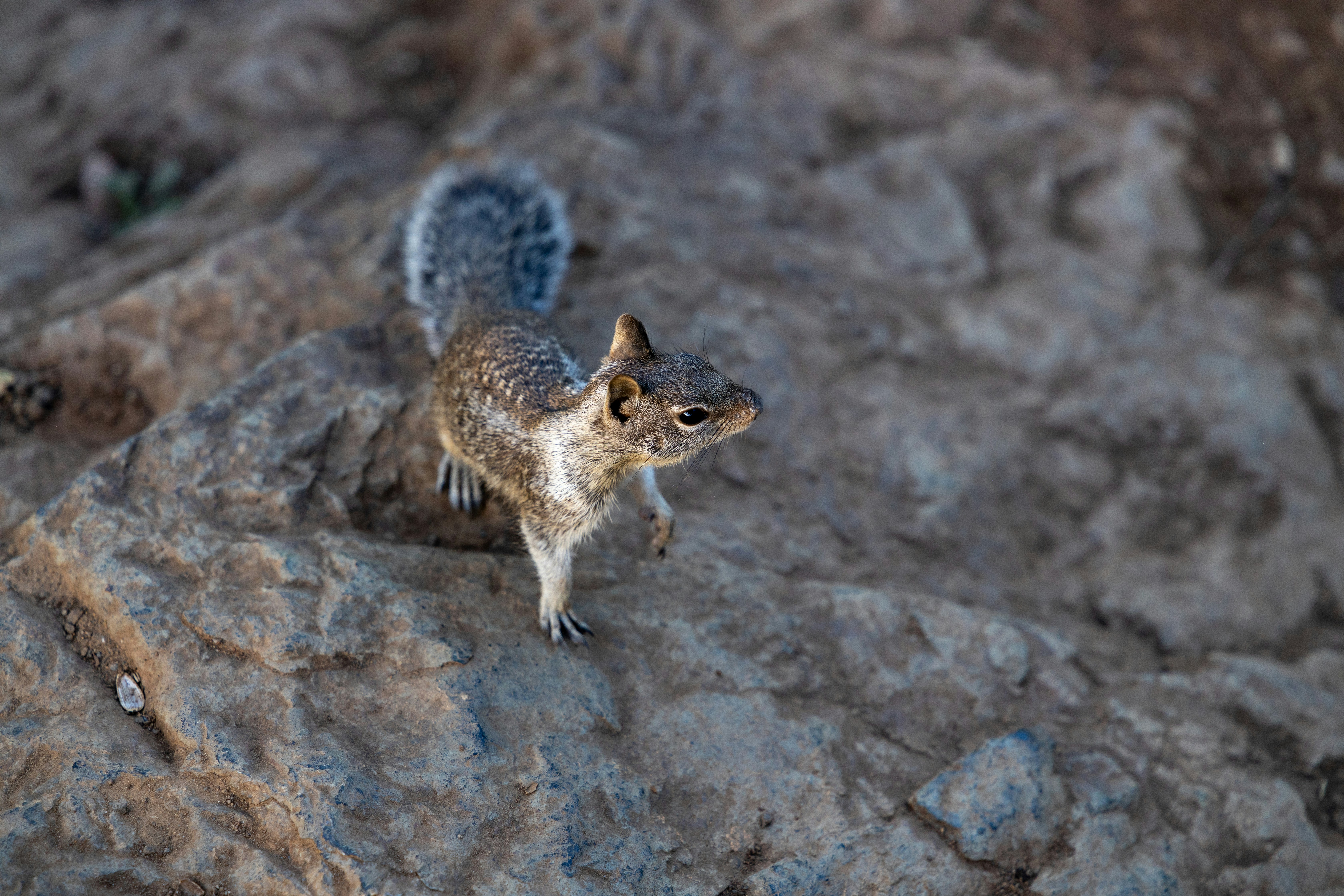 Photo by casunshine0508