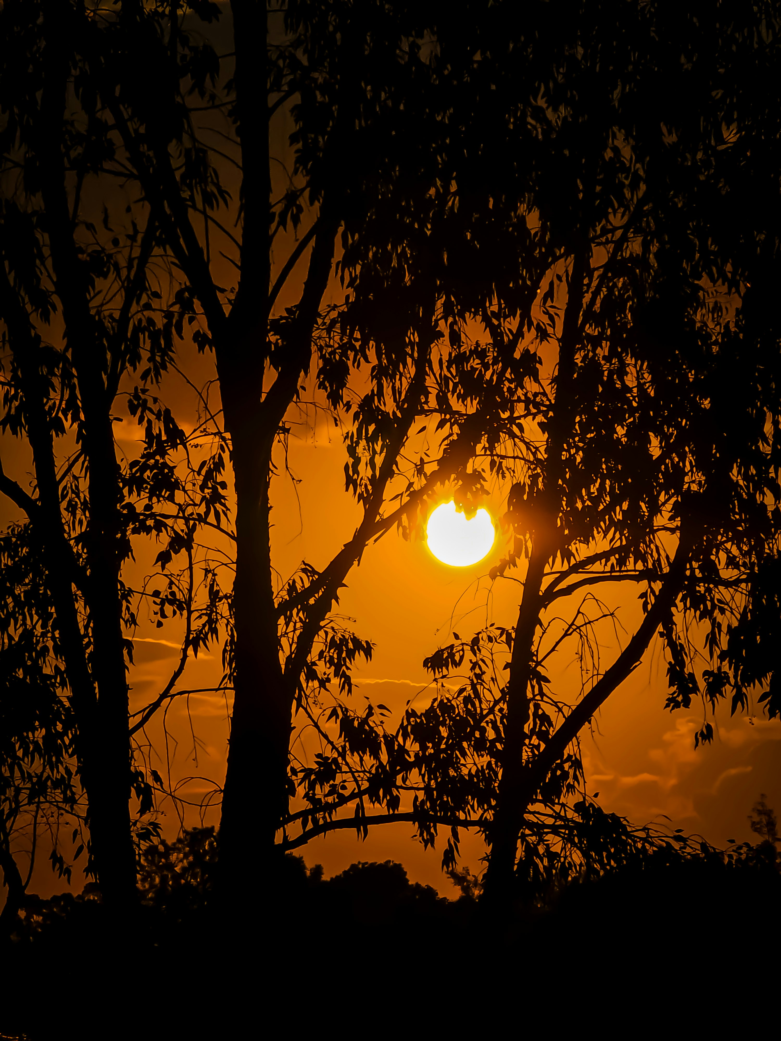 Photo by flphotographyv