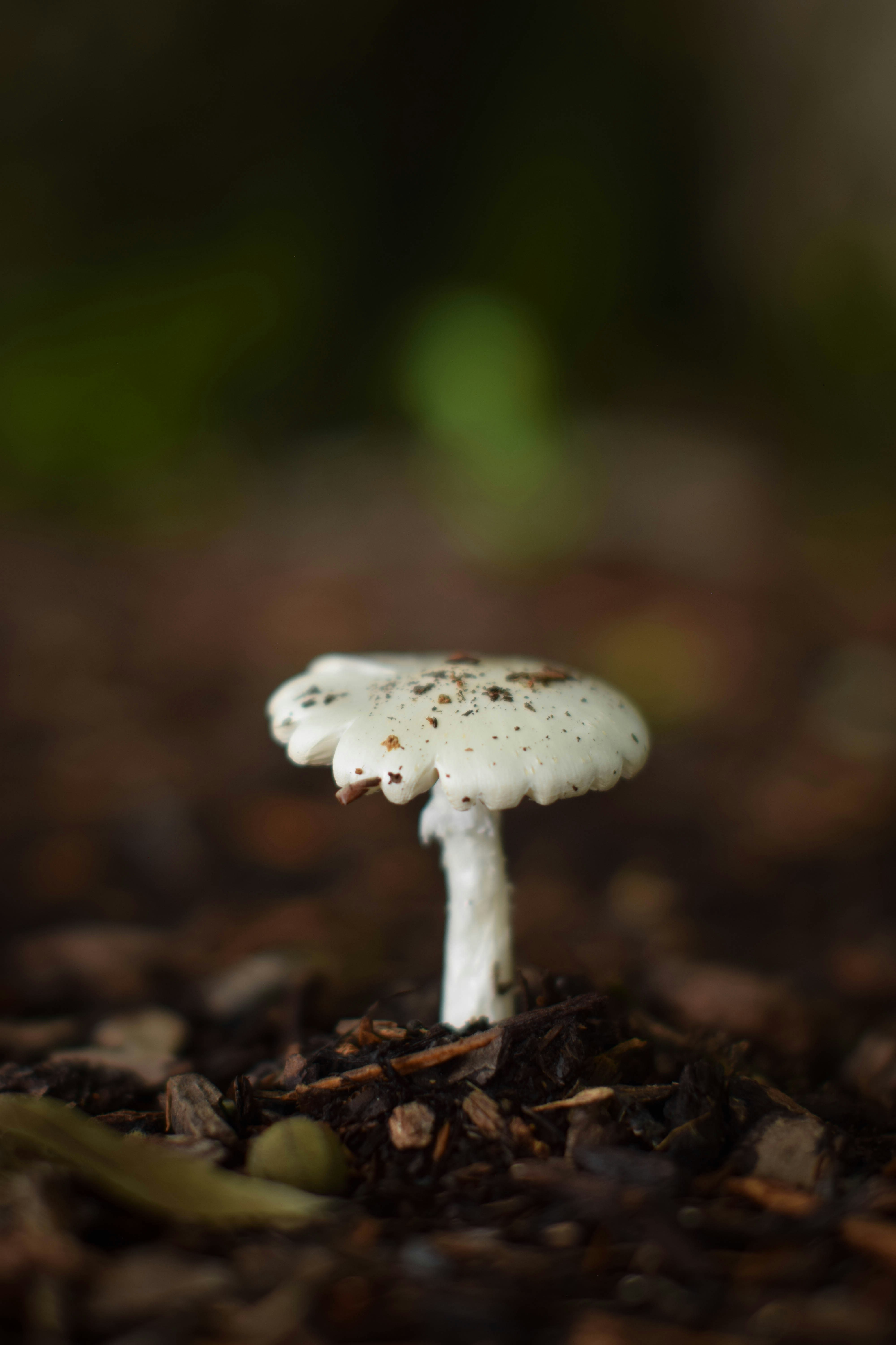 Photo by elliott_colburn_photos777