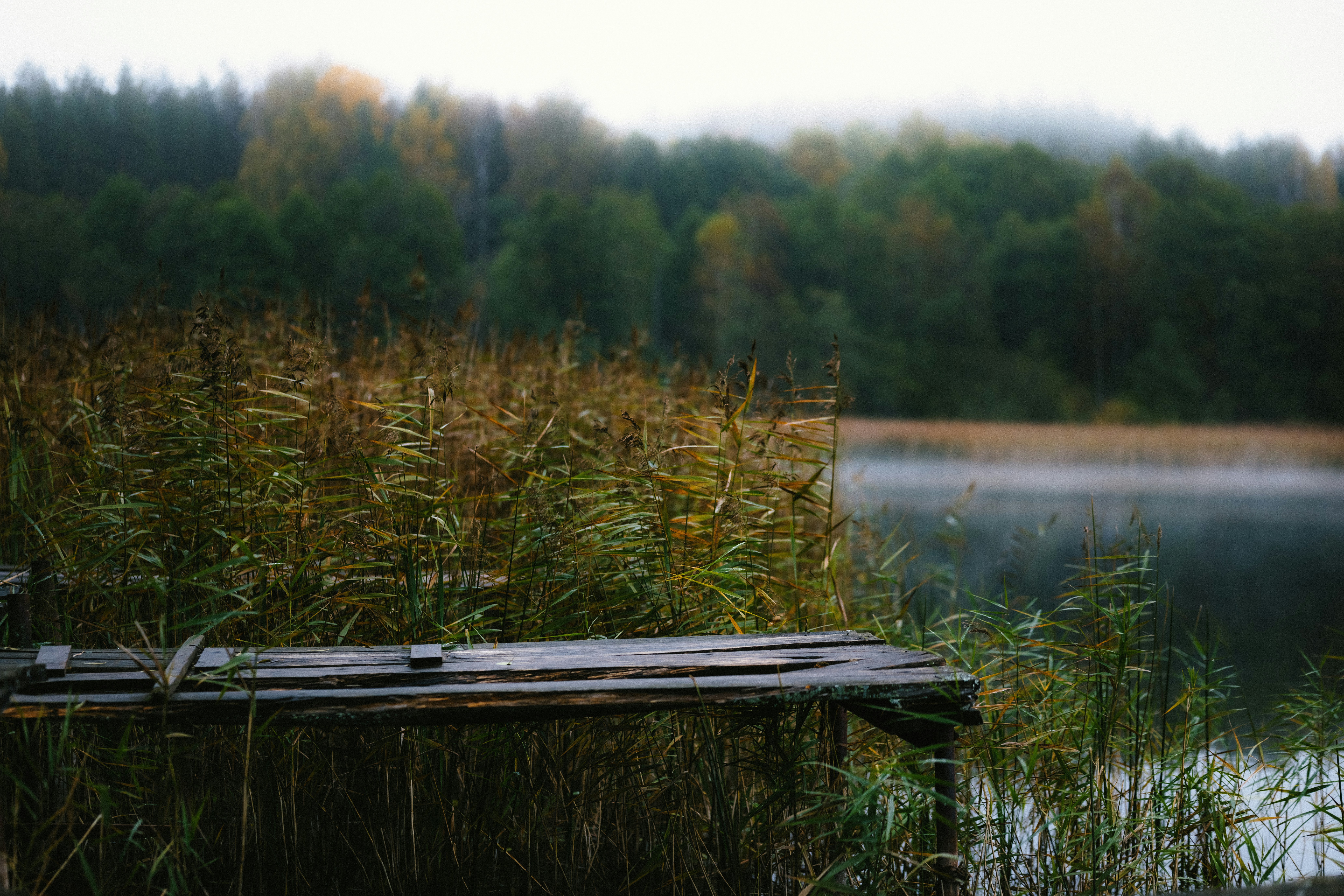 Photo by kristapsungurs