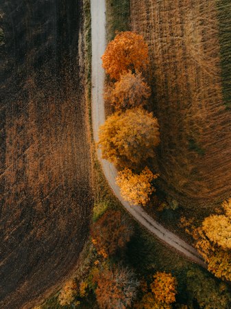A country road winding through peak autumn color &mdash; planning a fall foliage car rental in New Hampshire