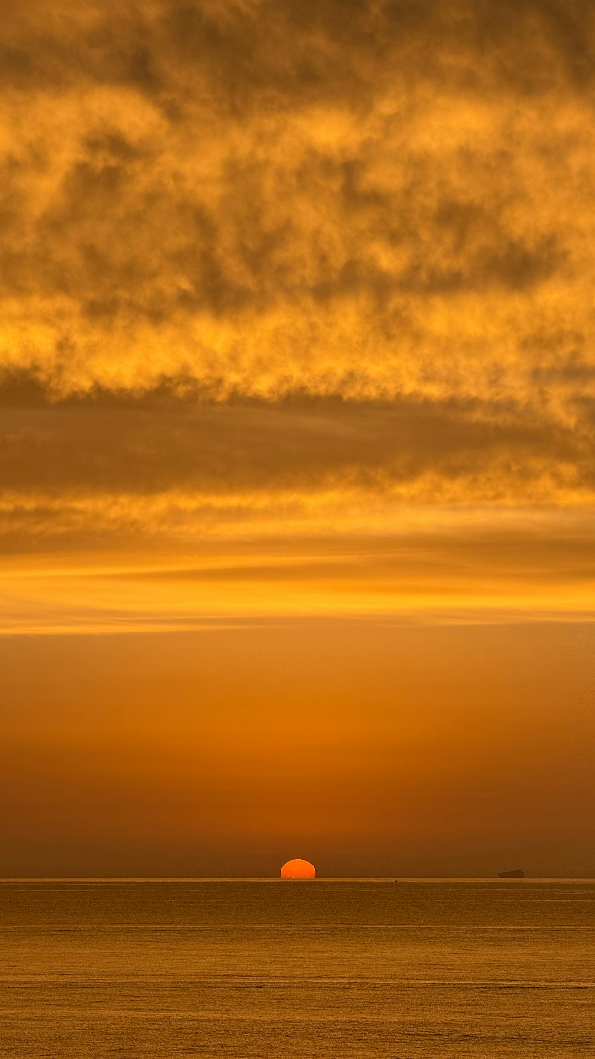 Photo by sabinafurnica