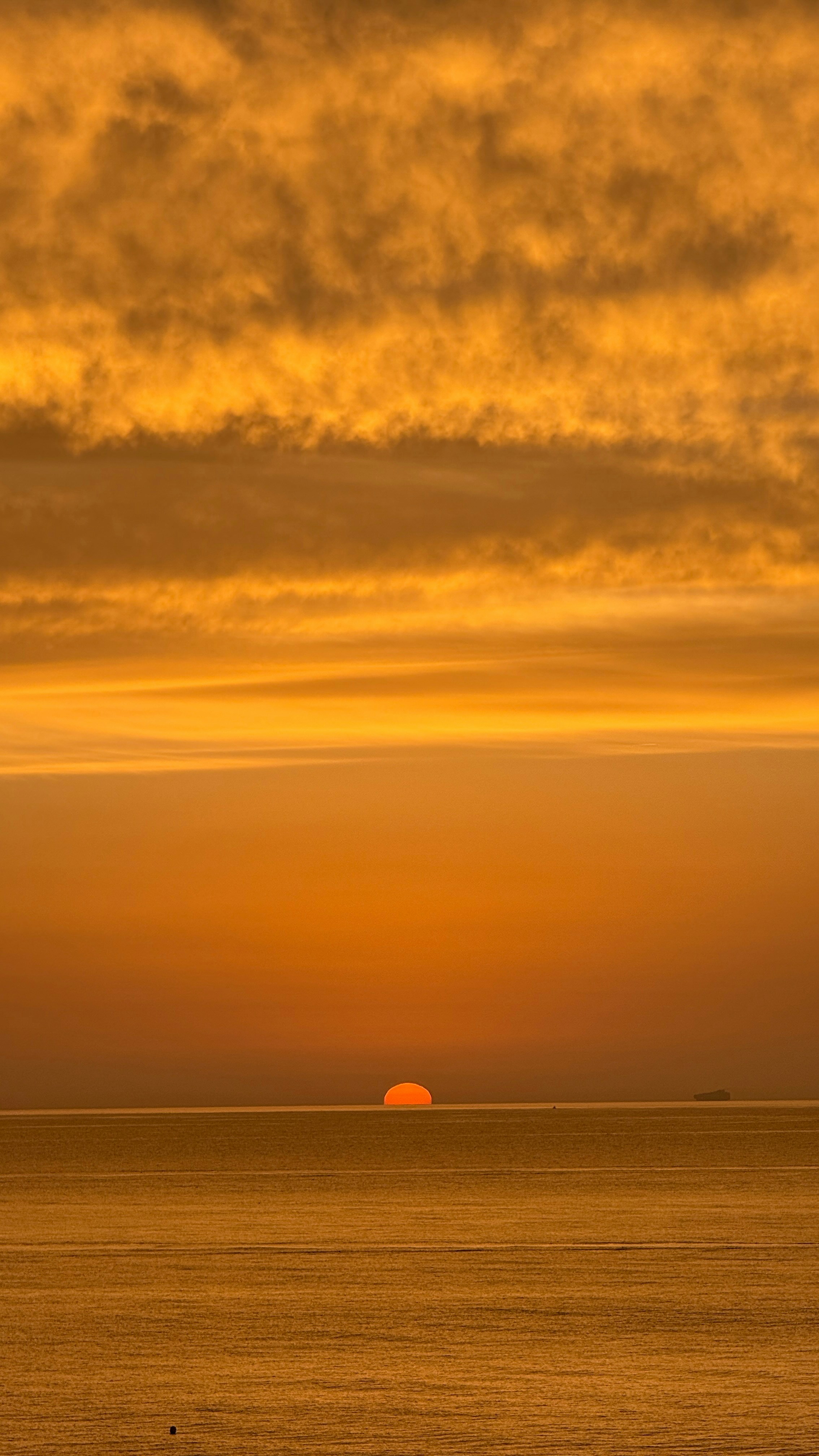 Photo by sabinafurnica