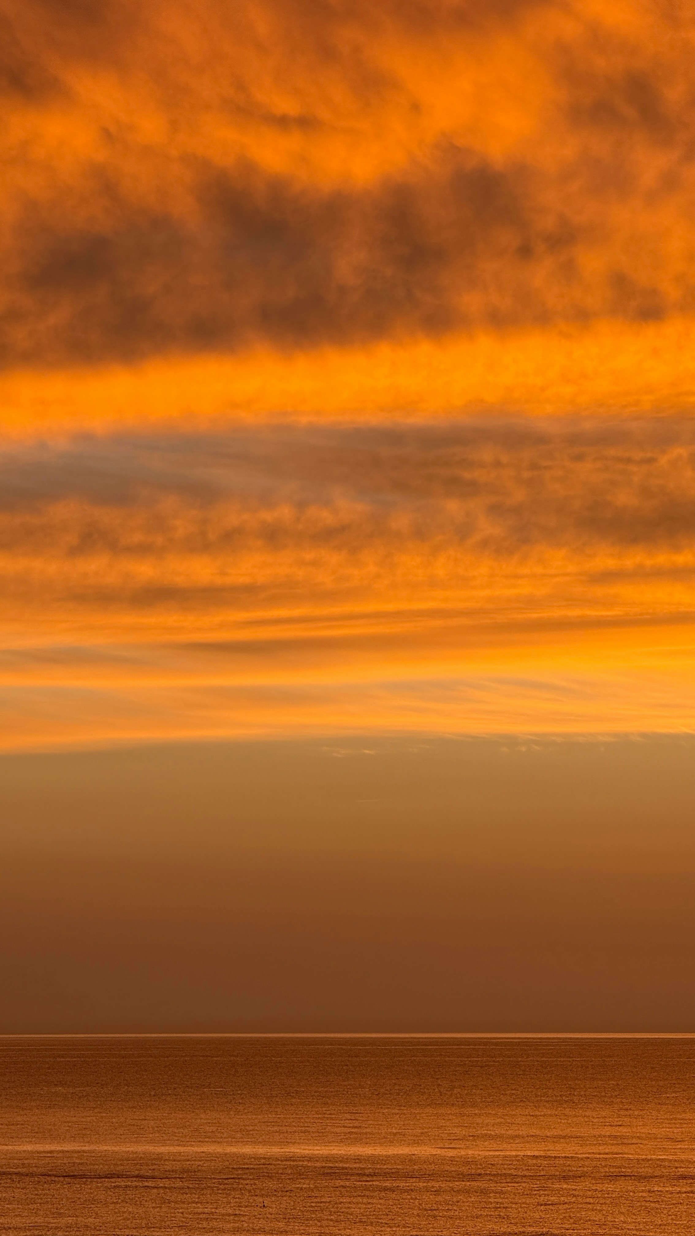 Photo by sabinafurnica