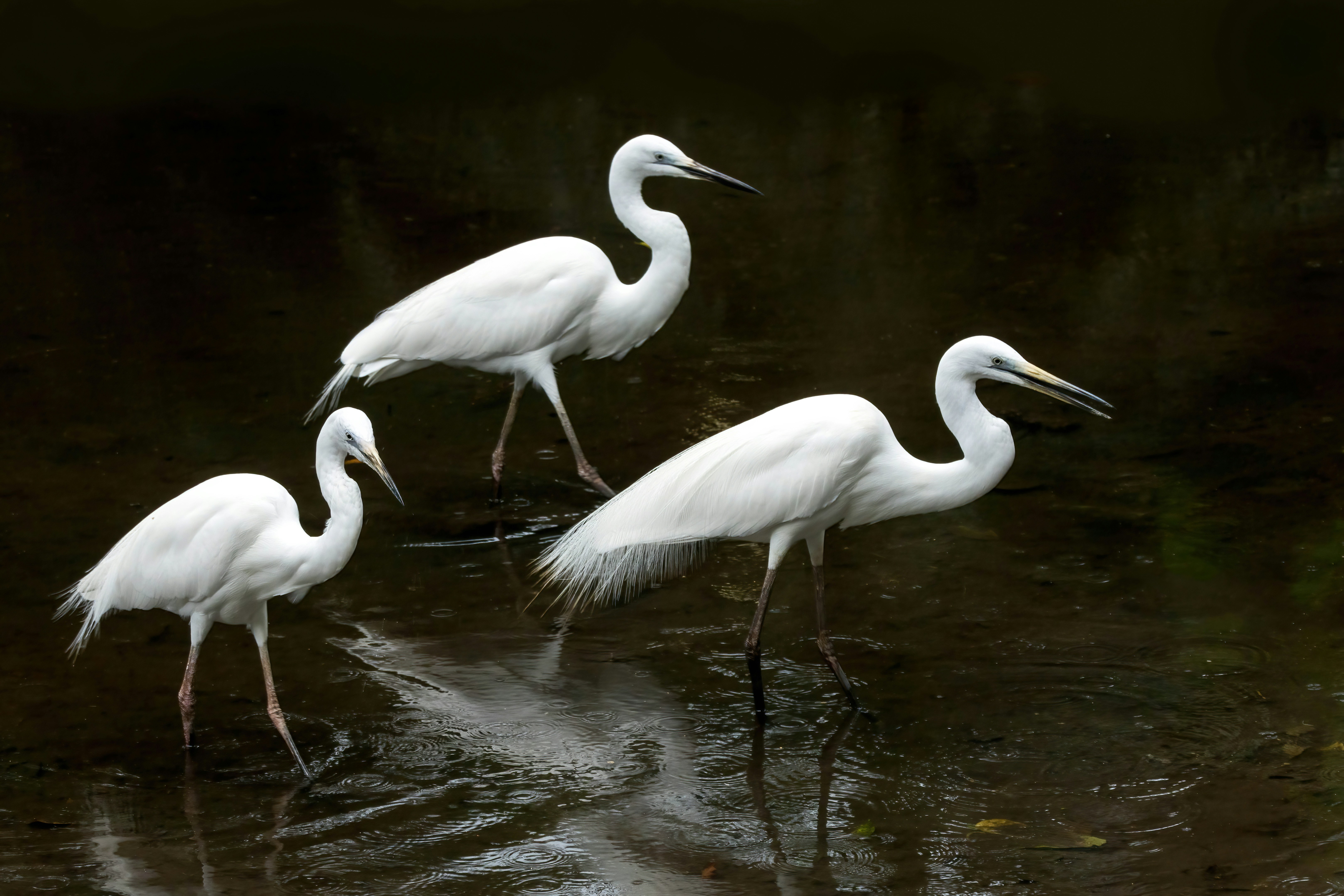 Find Out Exactly How Primary Care Centers Play A Crucial Role In Early Disease Discovery And What You Can Do To Optimize Your Wellness Check Outs