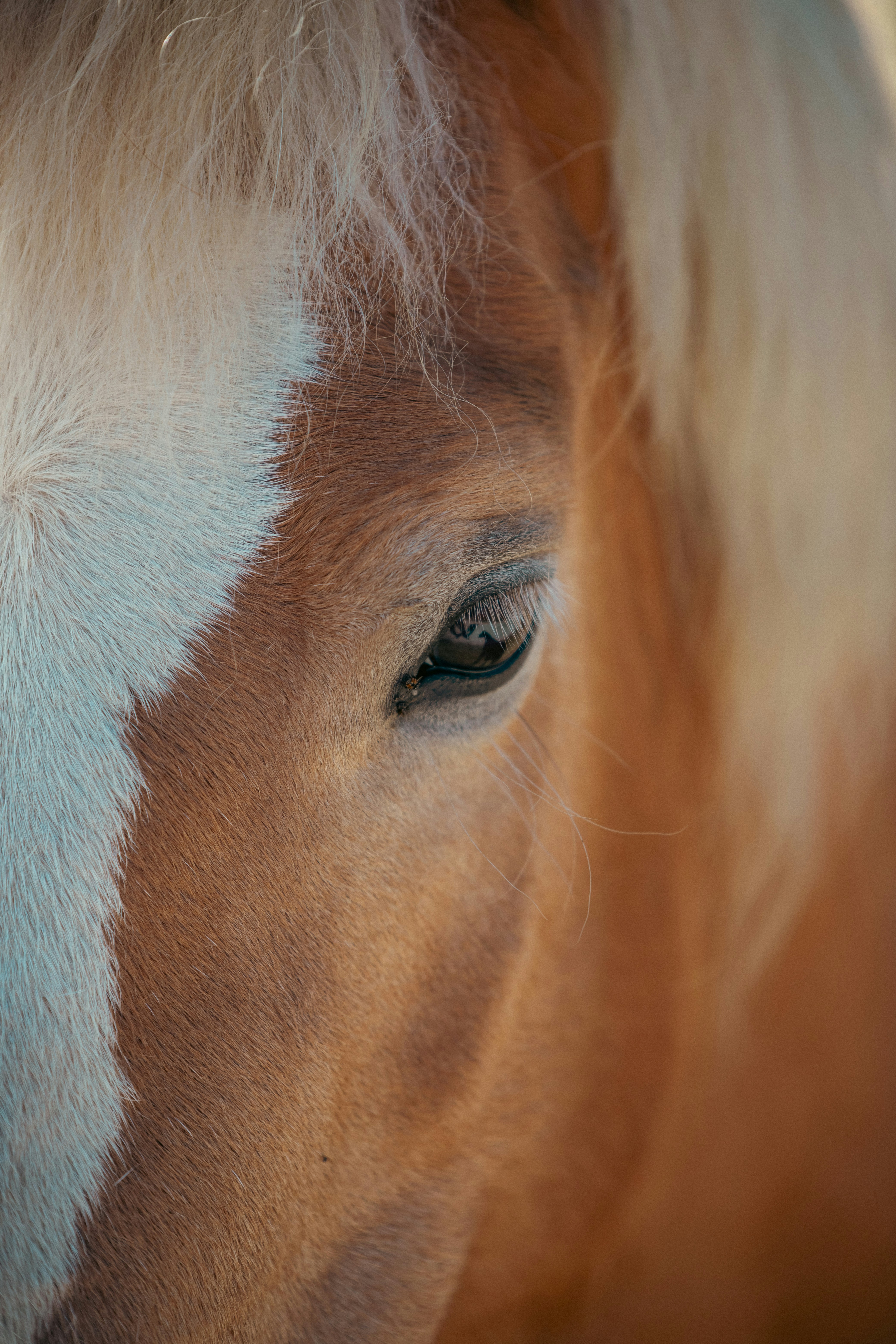 Photo by shutter_speed_