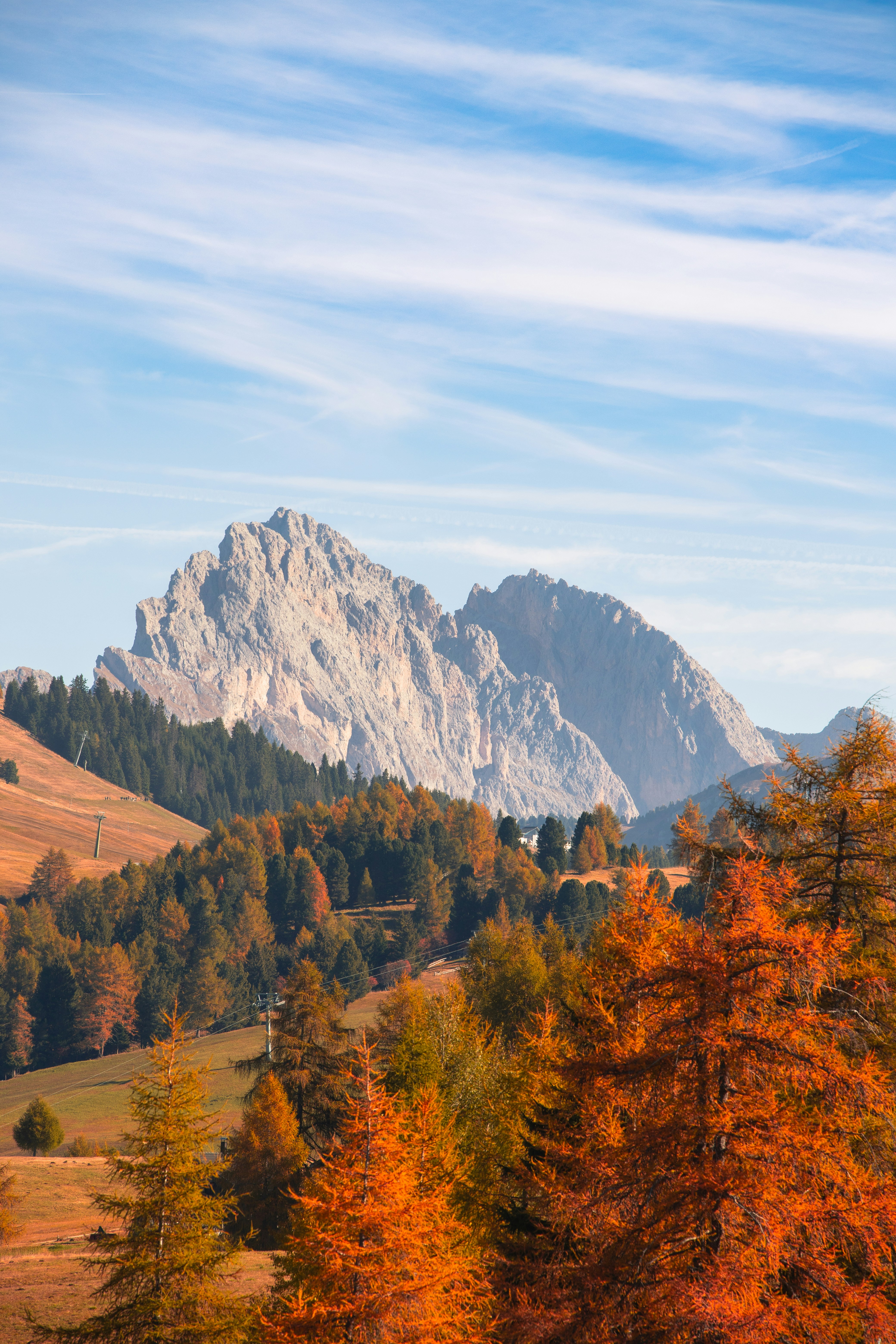 Photo by shutter_speed_