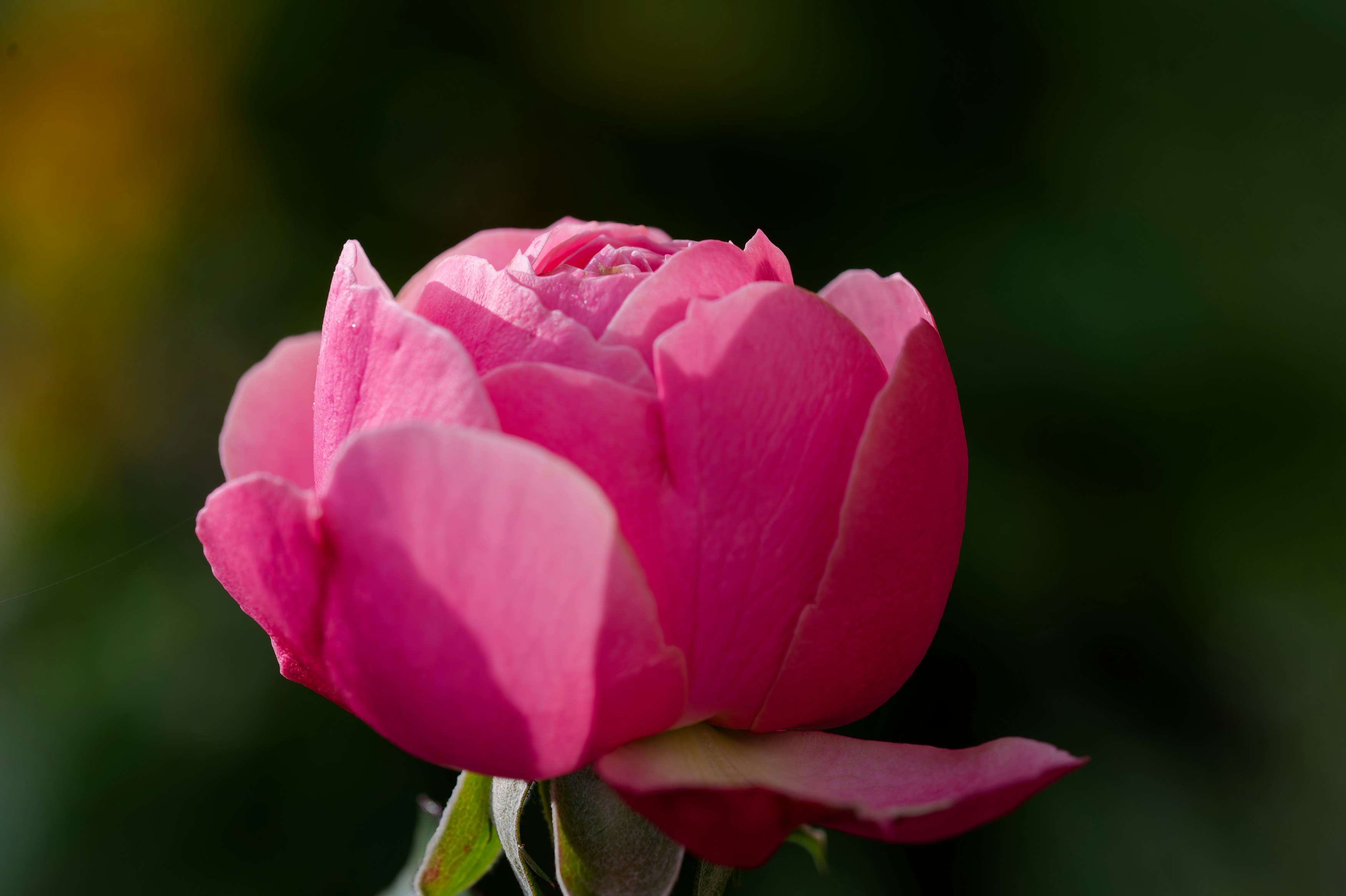 Photo by designbytholen