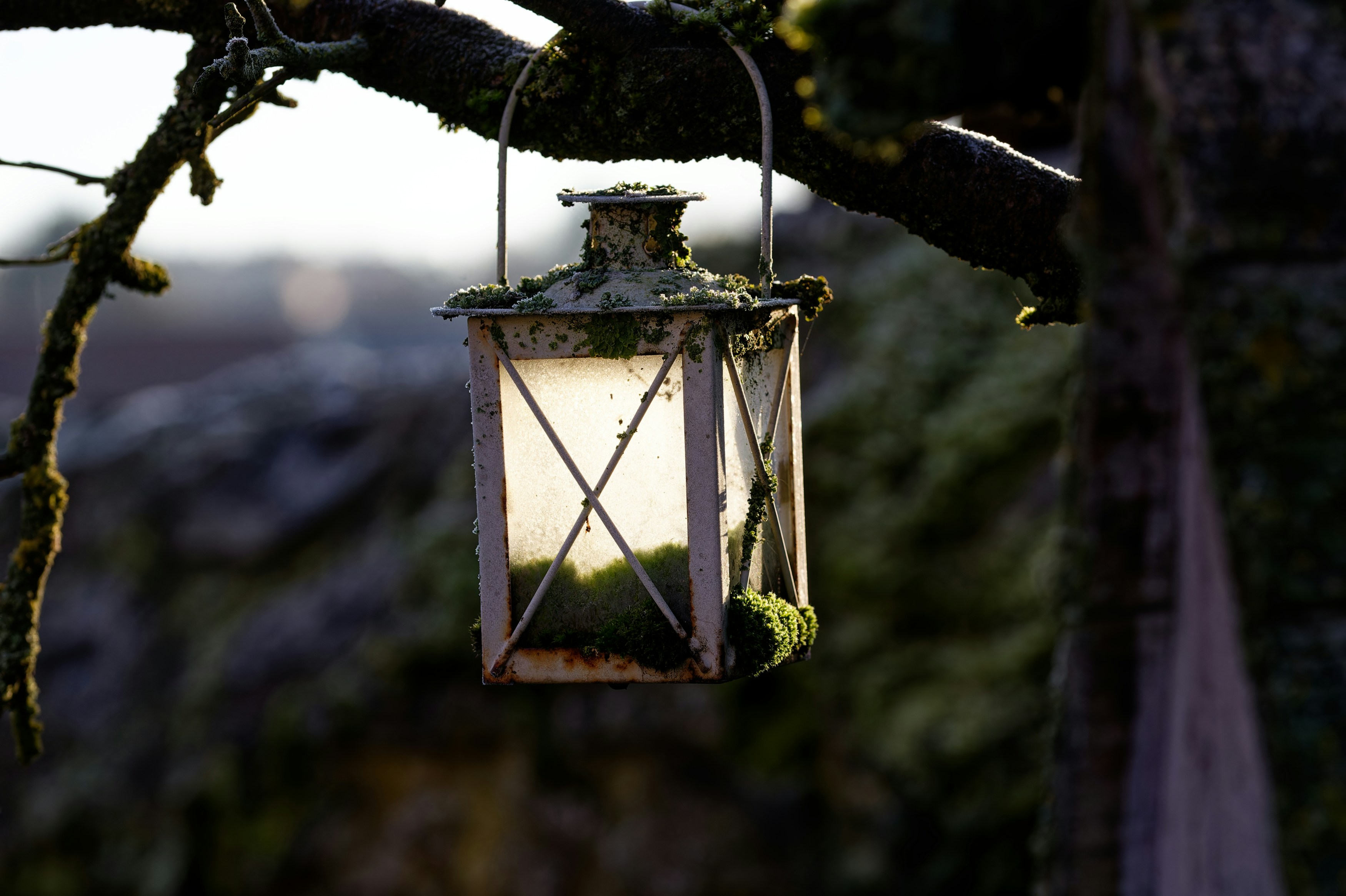 Photo by designbytholen