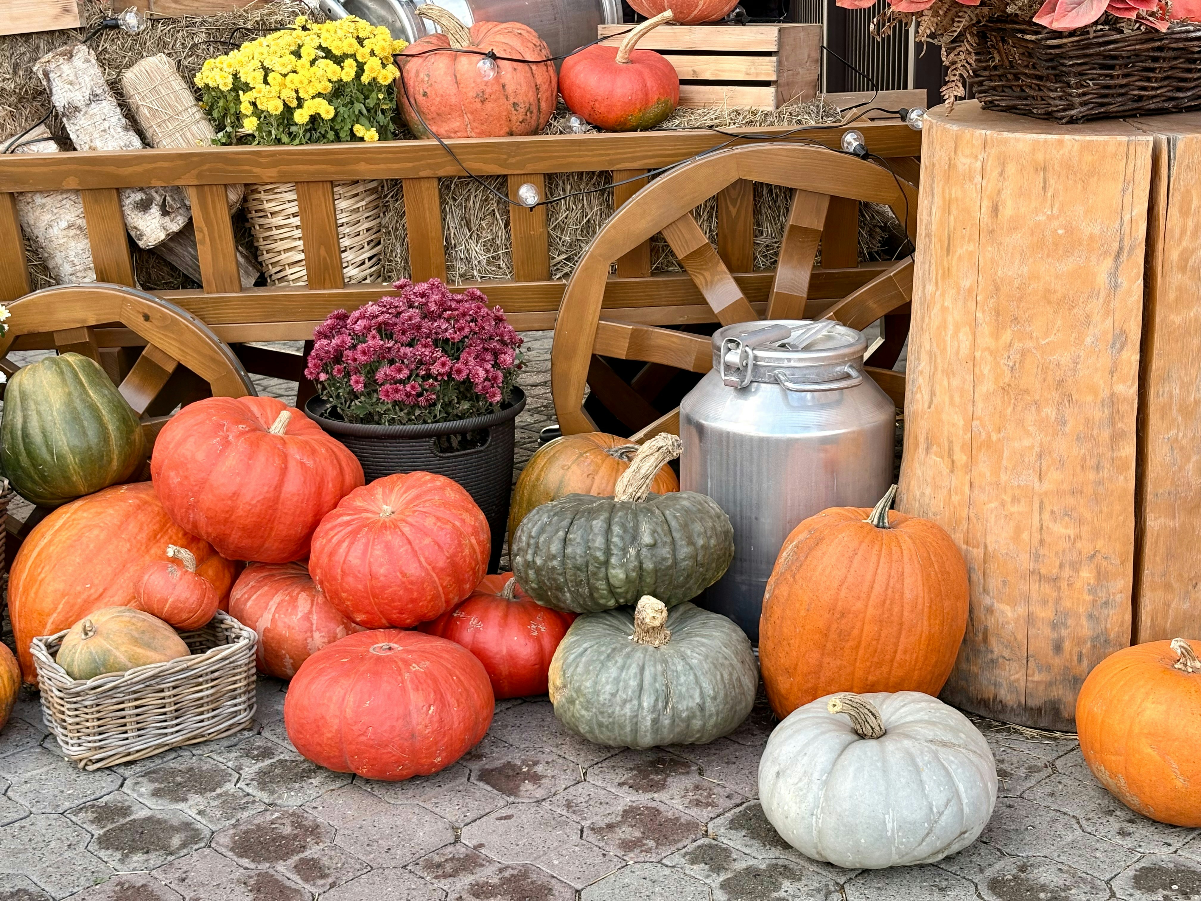 Zucche e decorazioni autunnali esposte all'aperto