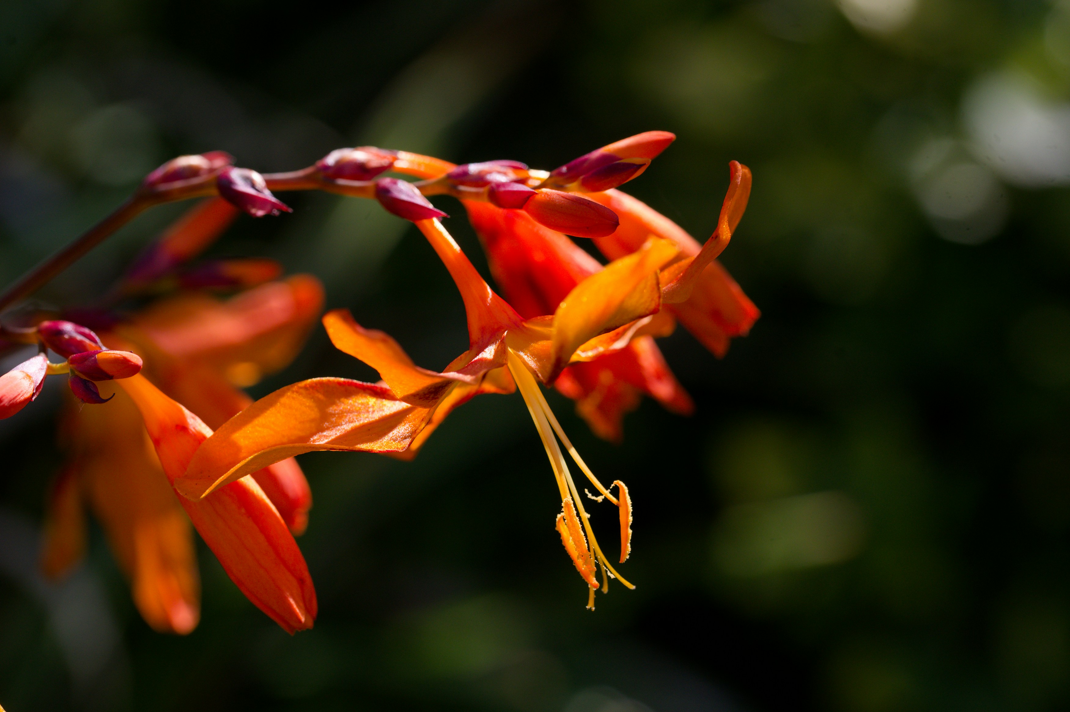 Photo by designbytholen