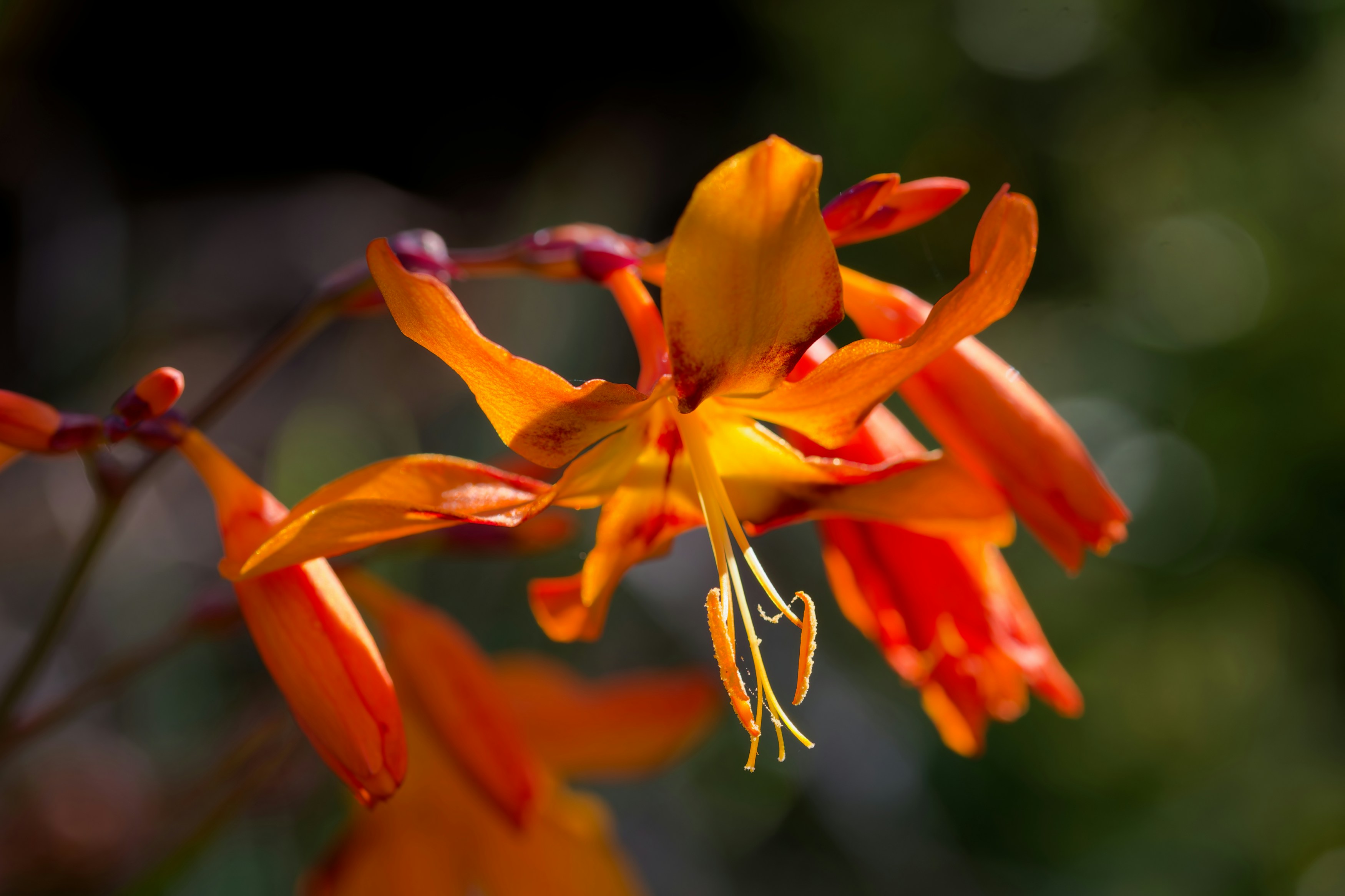 Photo by designbytholen