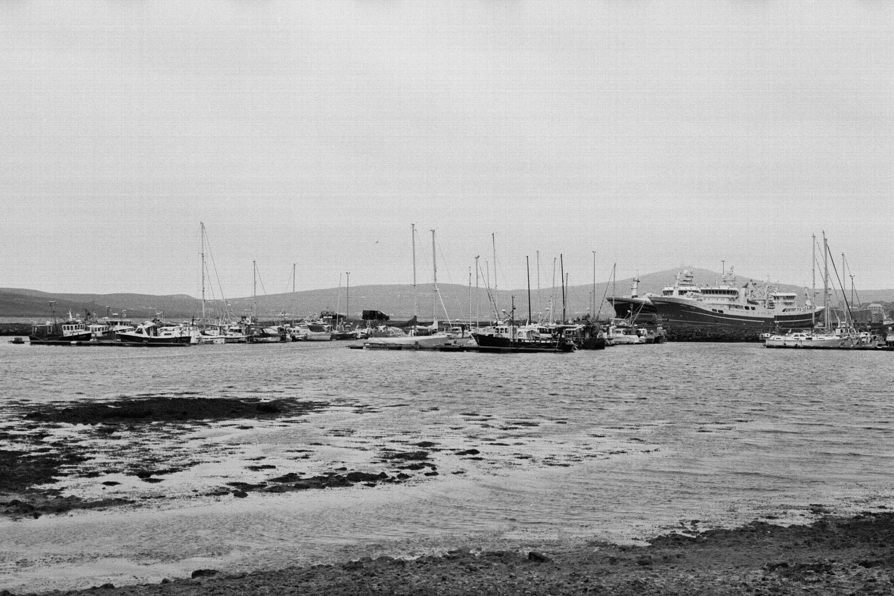 Photo by tommygmedia