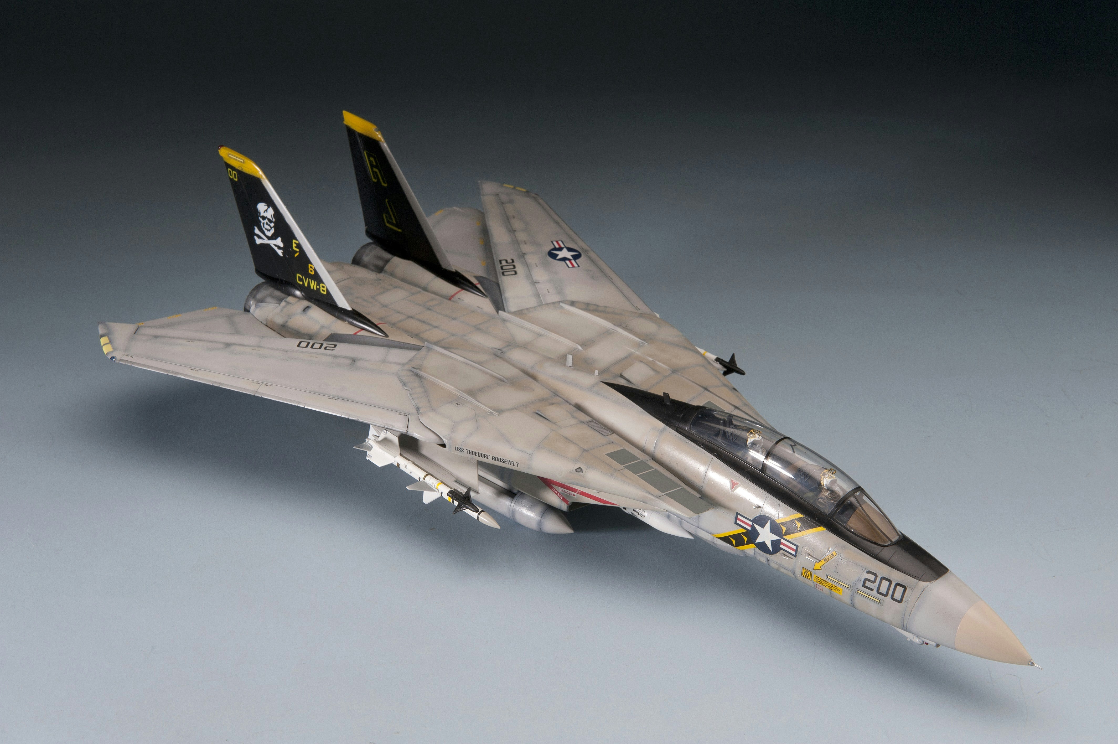 Archival Smithsonian model of a Grumman F-14 Tomcat fighter aircraft