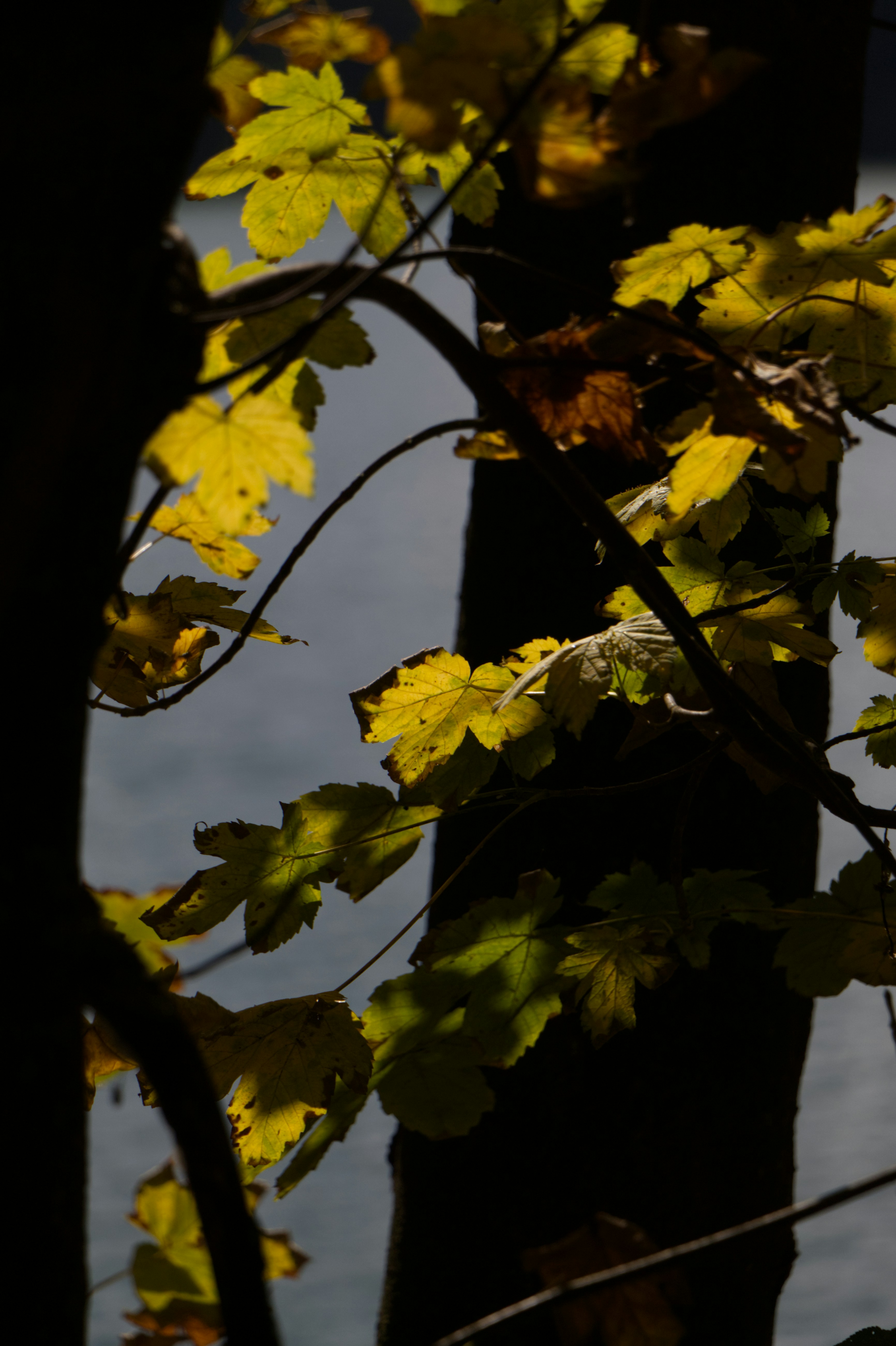 Photo by spaceboundstudio