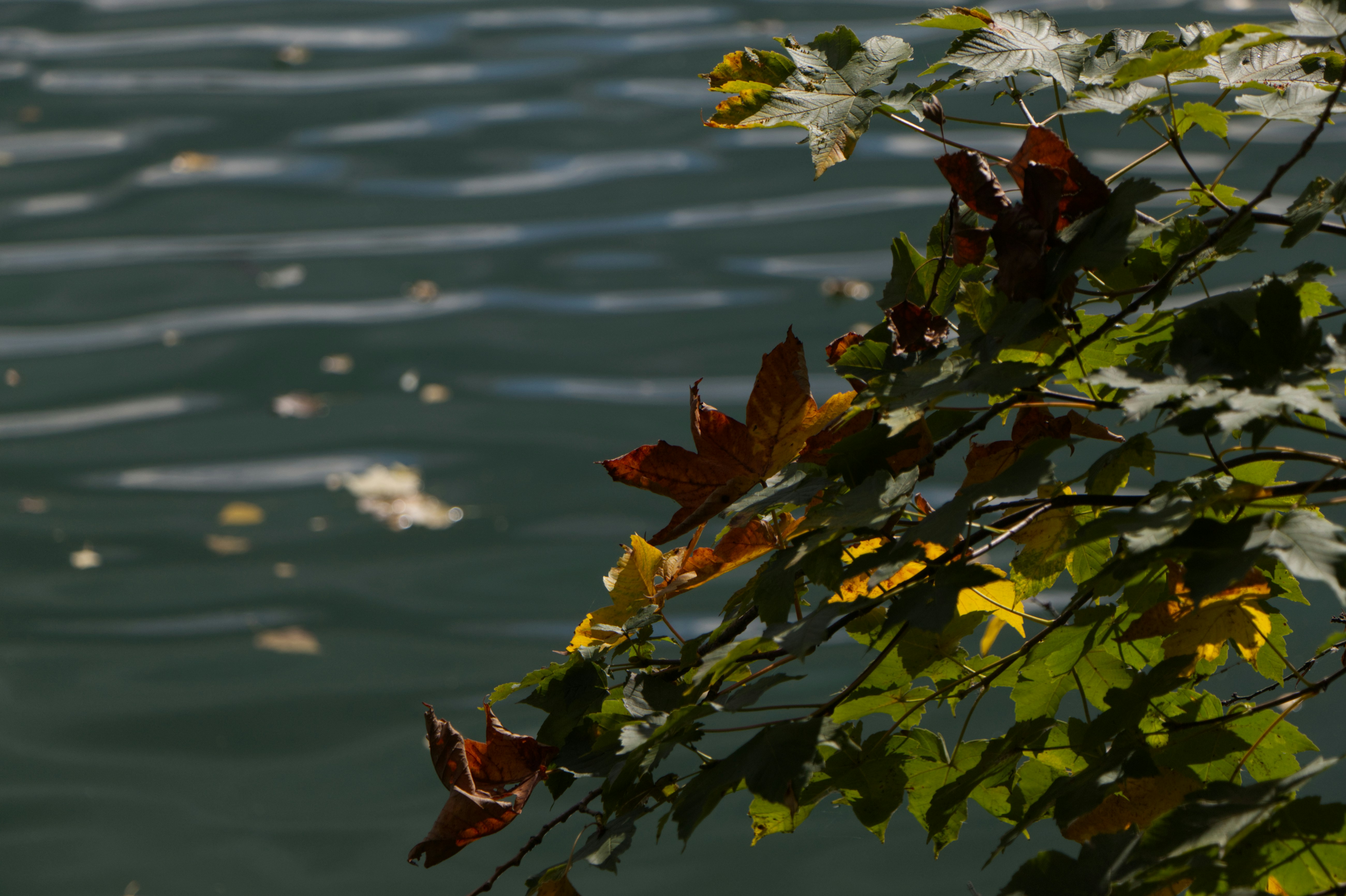 Photo by spaceboundstudio