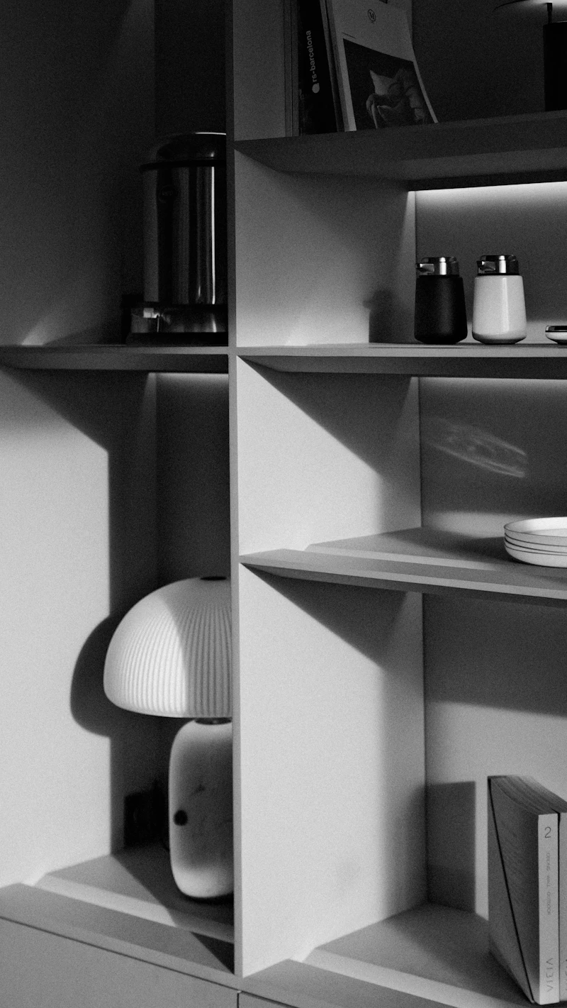 Organized home shelves